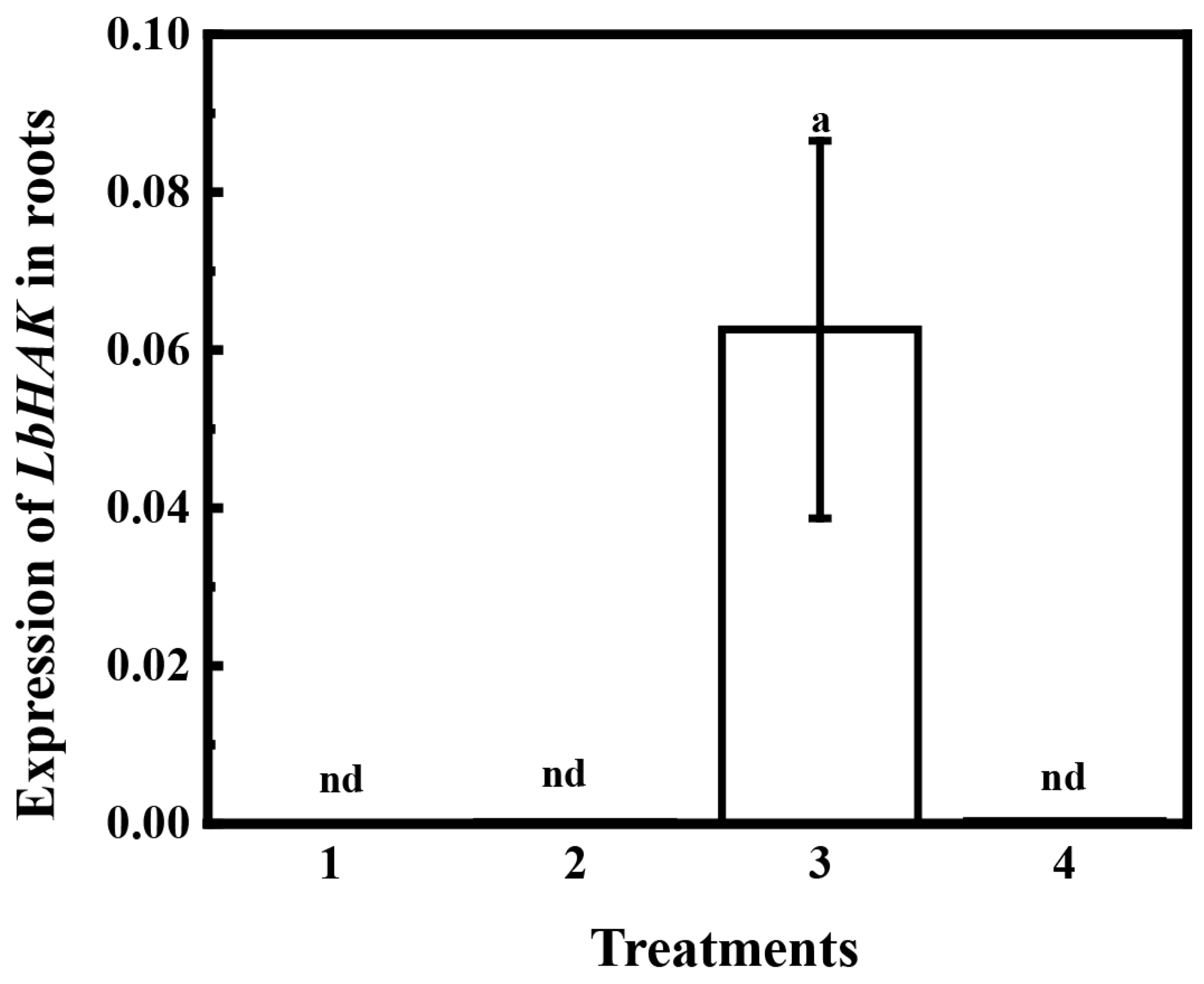 Plants 13 01244 g003