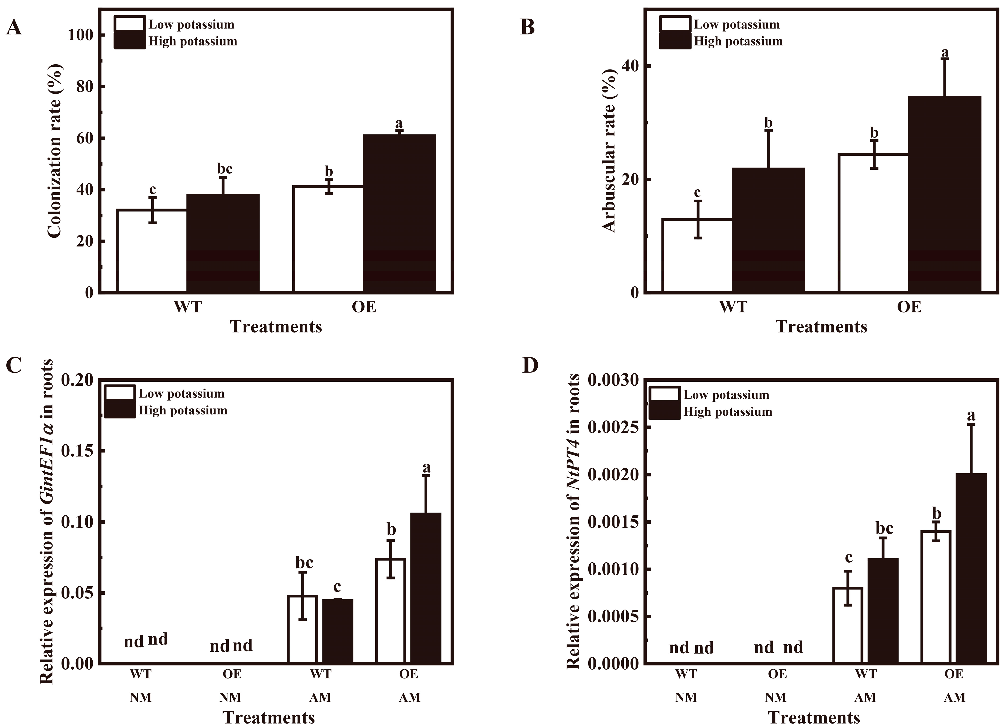 Plants 13 01244 g005