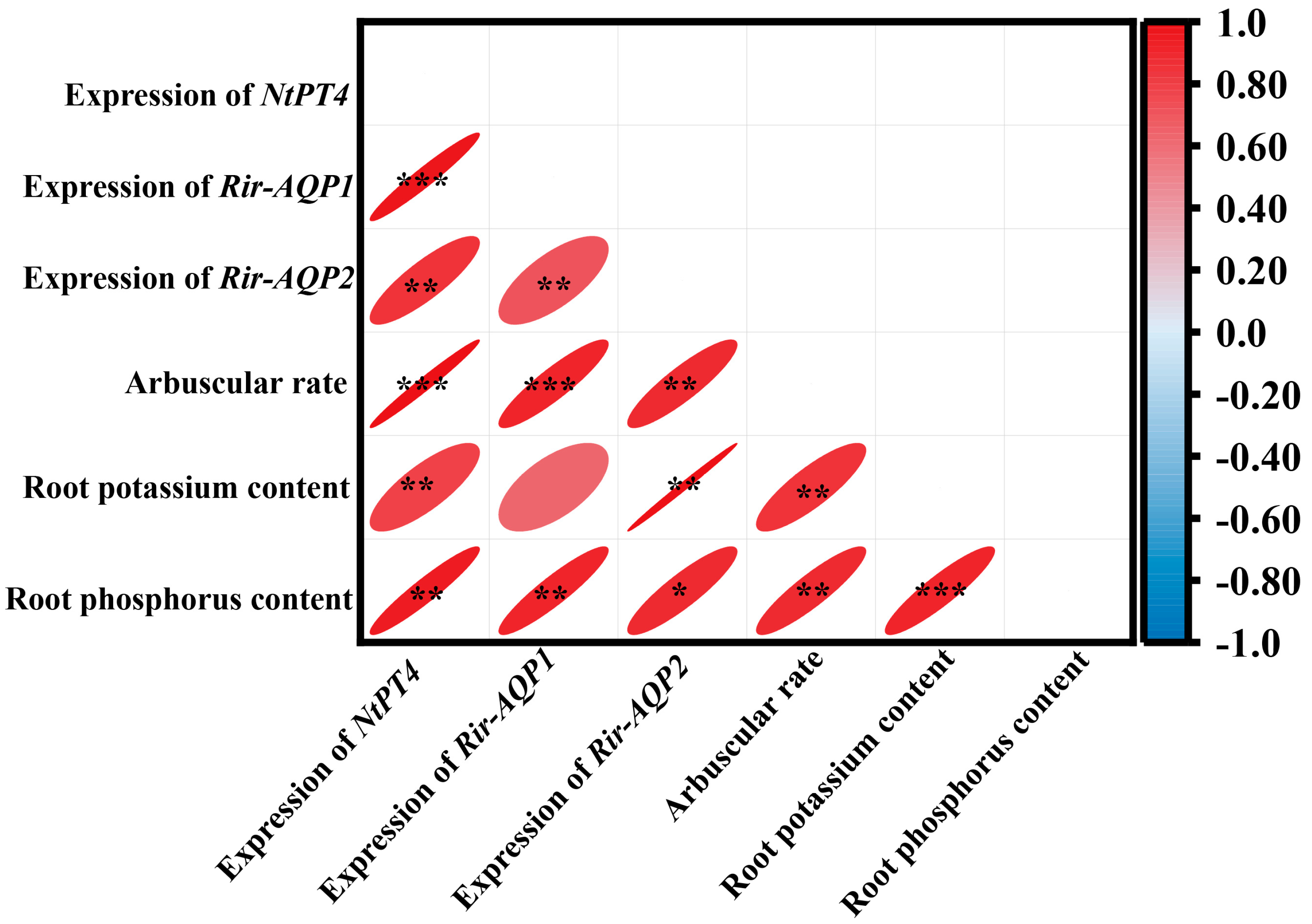 Plants 13 01244 g009