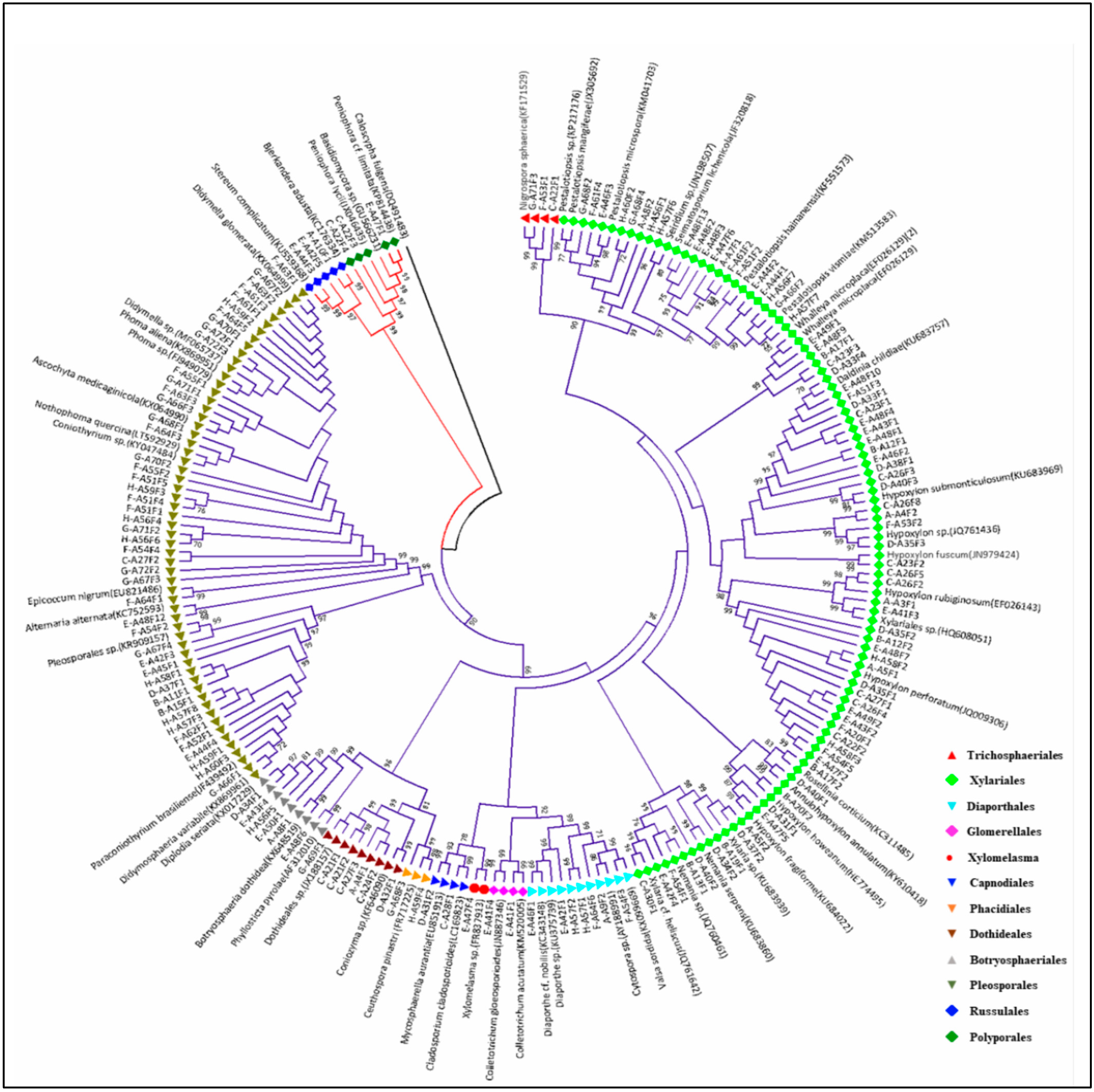 Plants 13 01250 g003