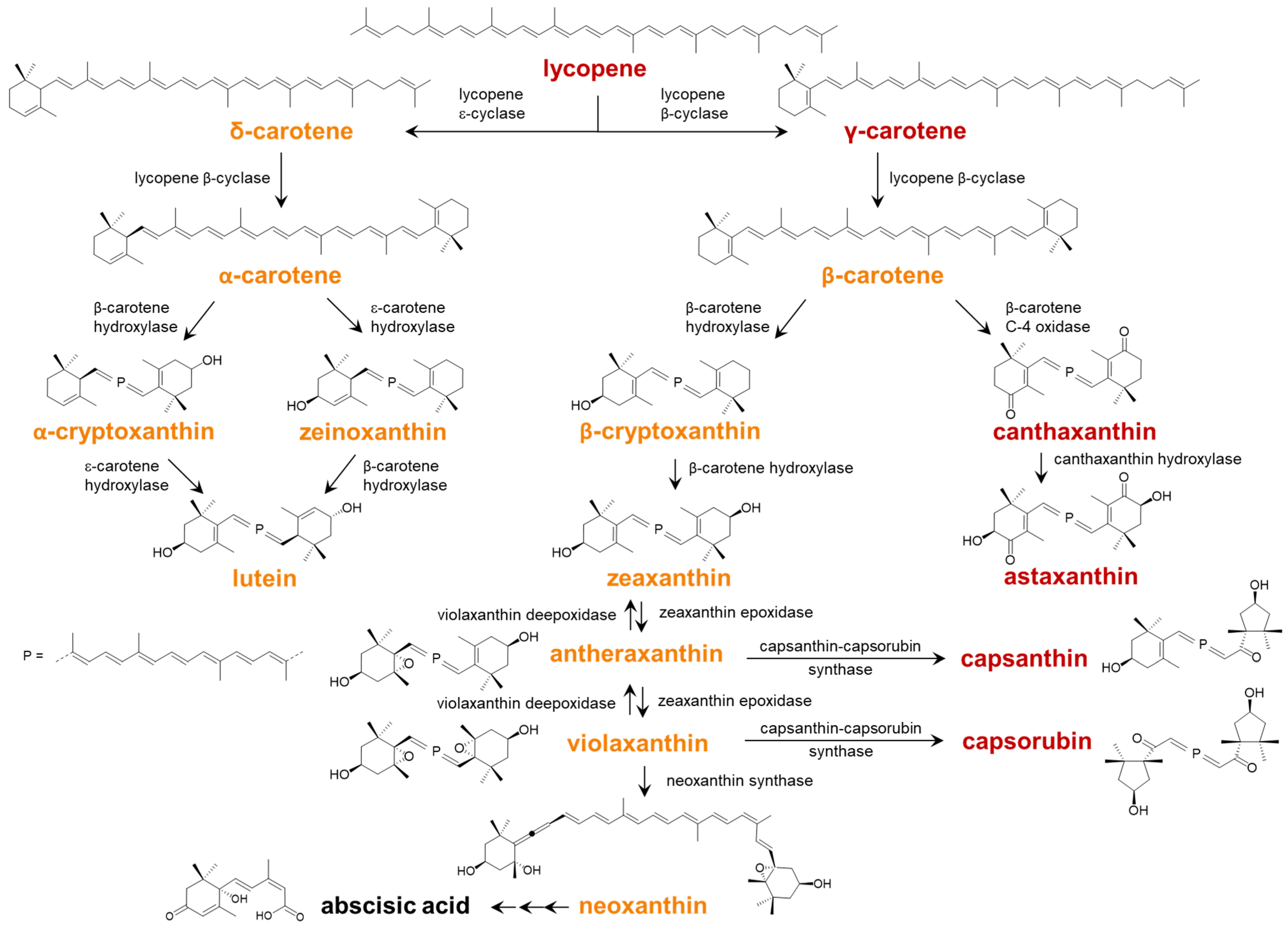 Plants 13 01251 g001 Plants 13 01251 g001