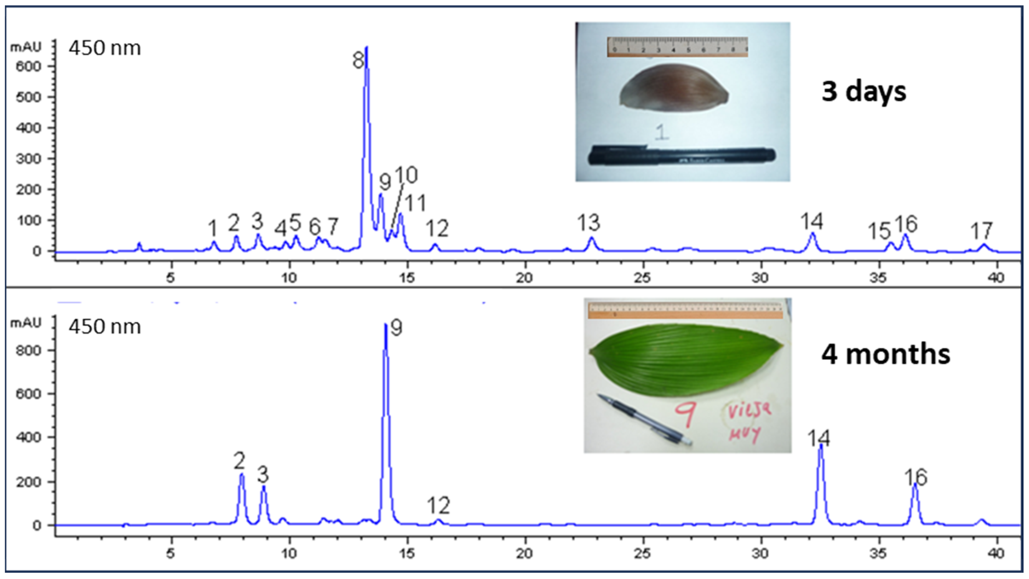 Plants 13 01251 g003 Plants 13 01251 g003