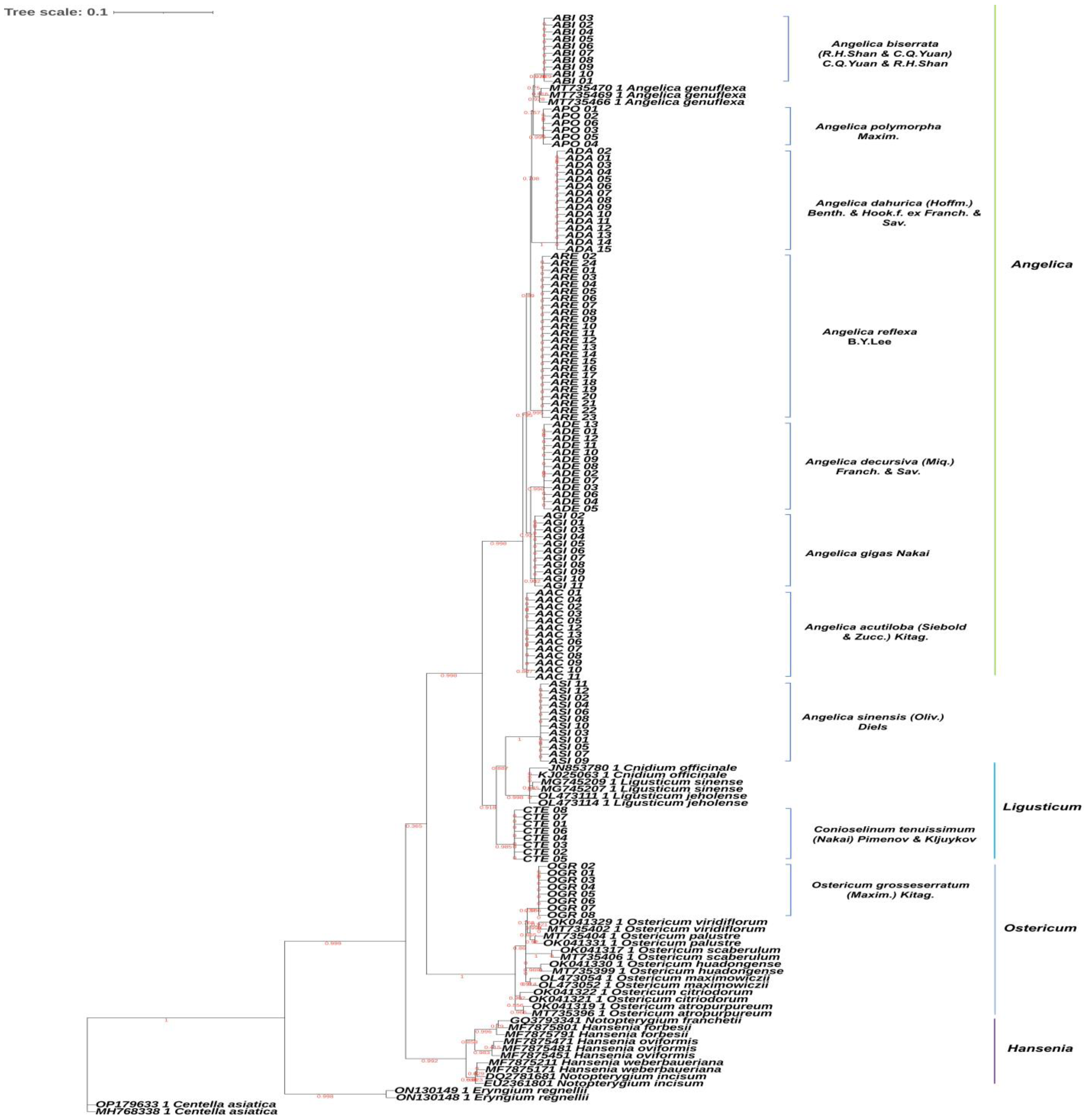 Plants 13 01252 g001 Plants 13 01252 g001