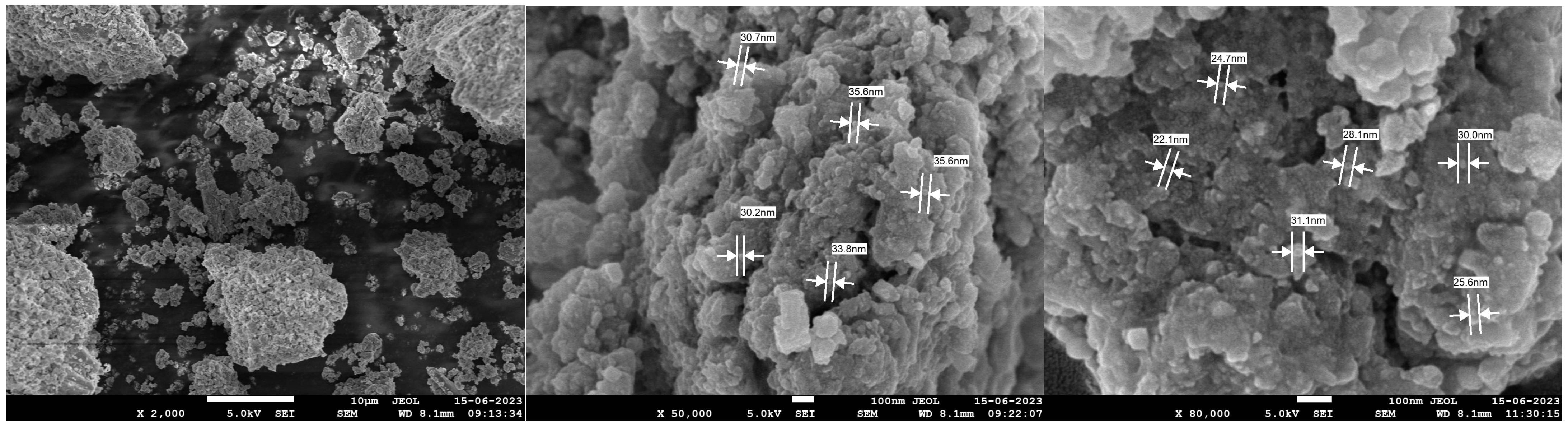 Plants 13 01255 g005