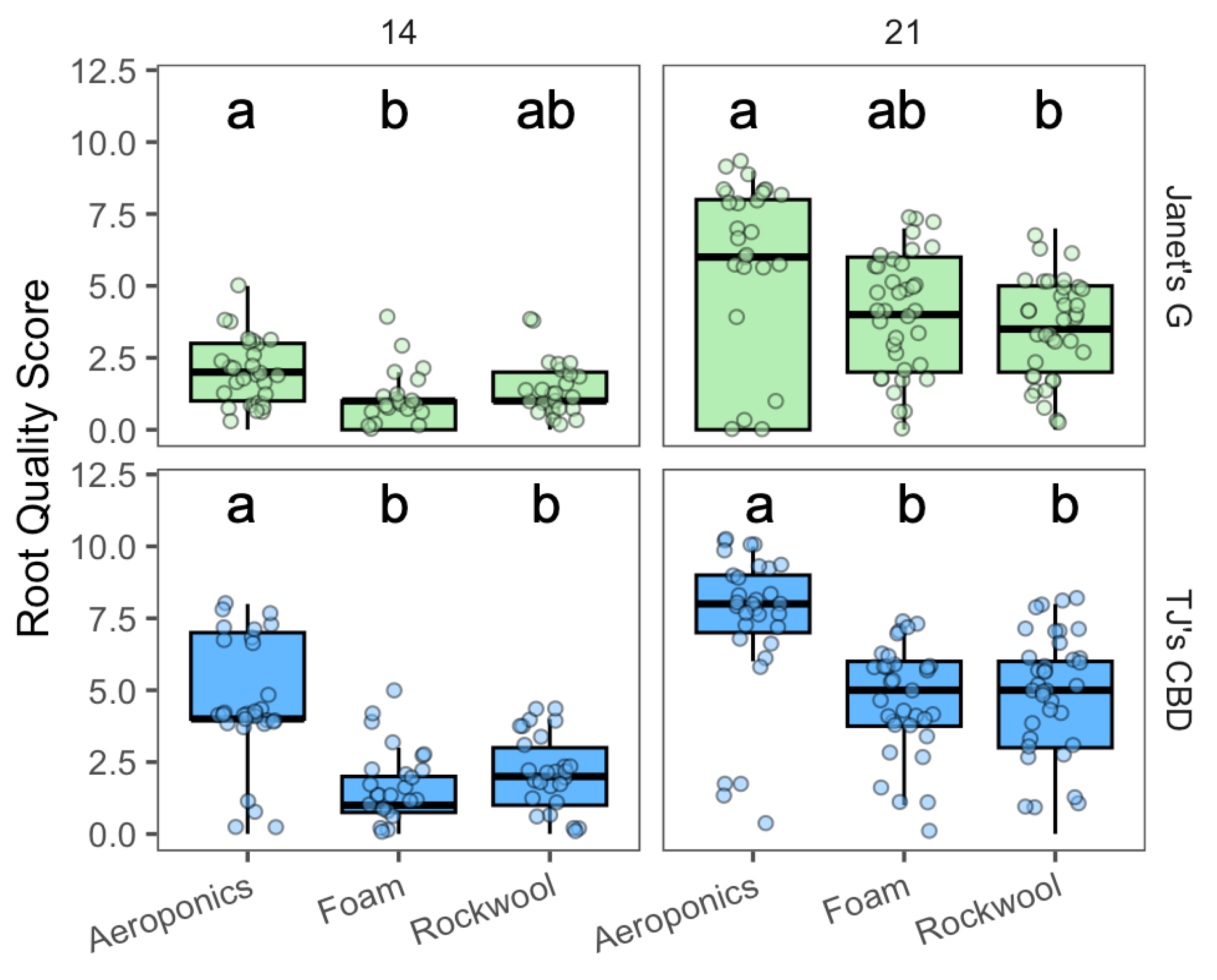 Plants 13 01256 g001