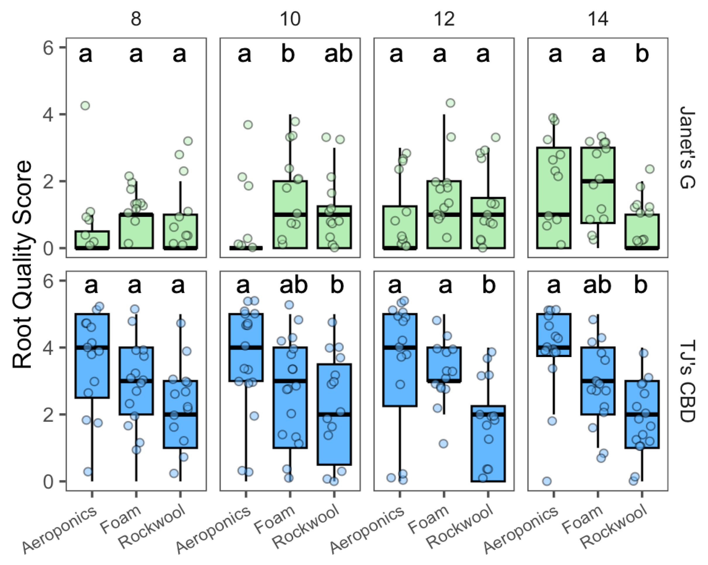 Plants 13 01256 g005