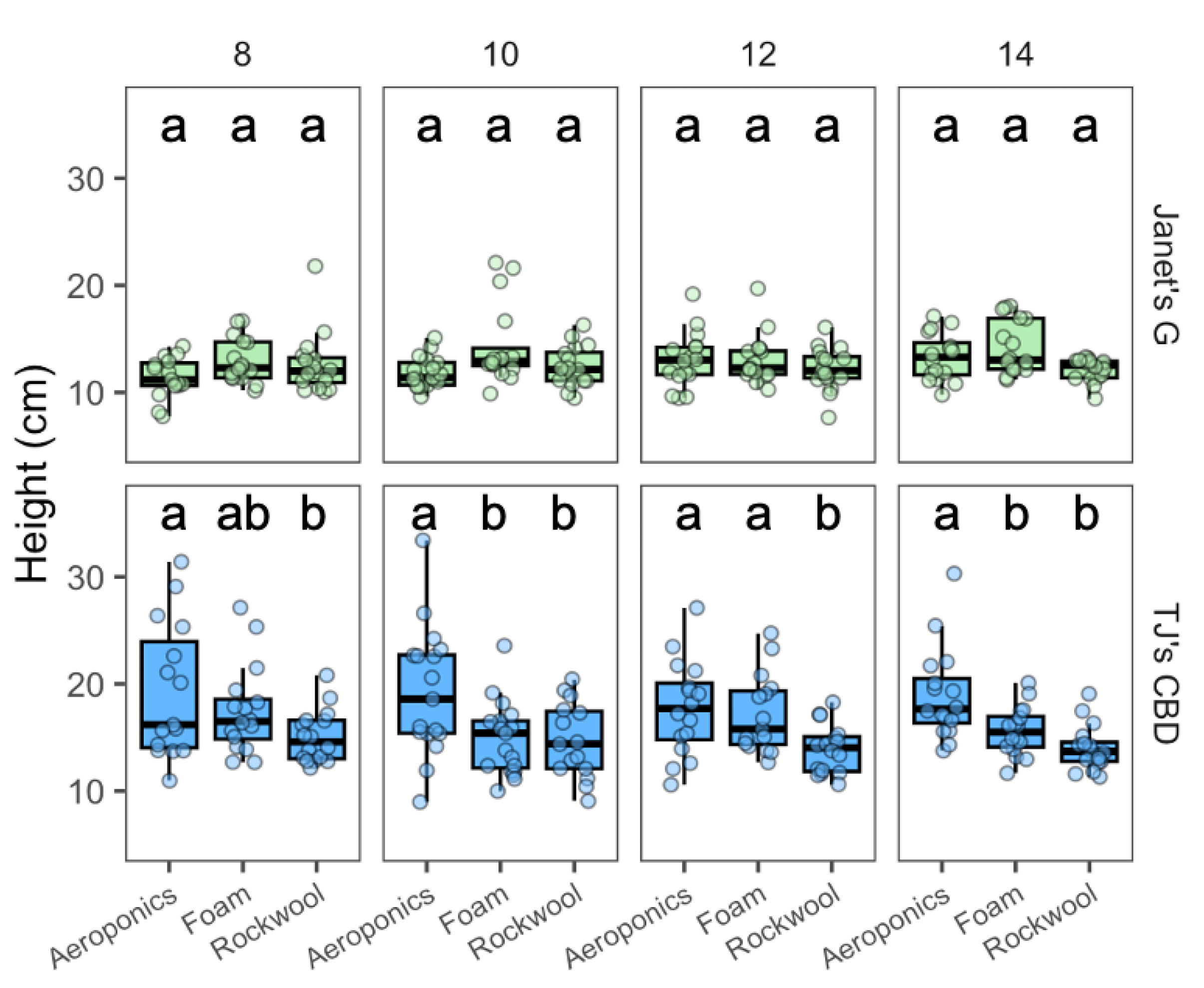 Plants 13 01256 g006