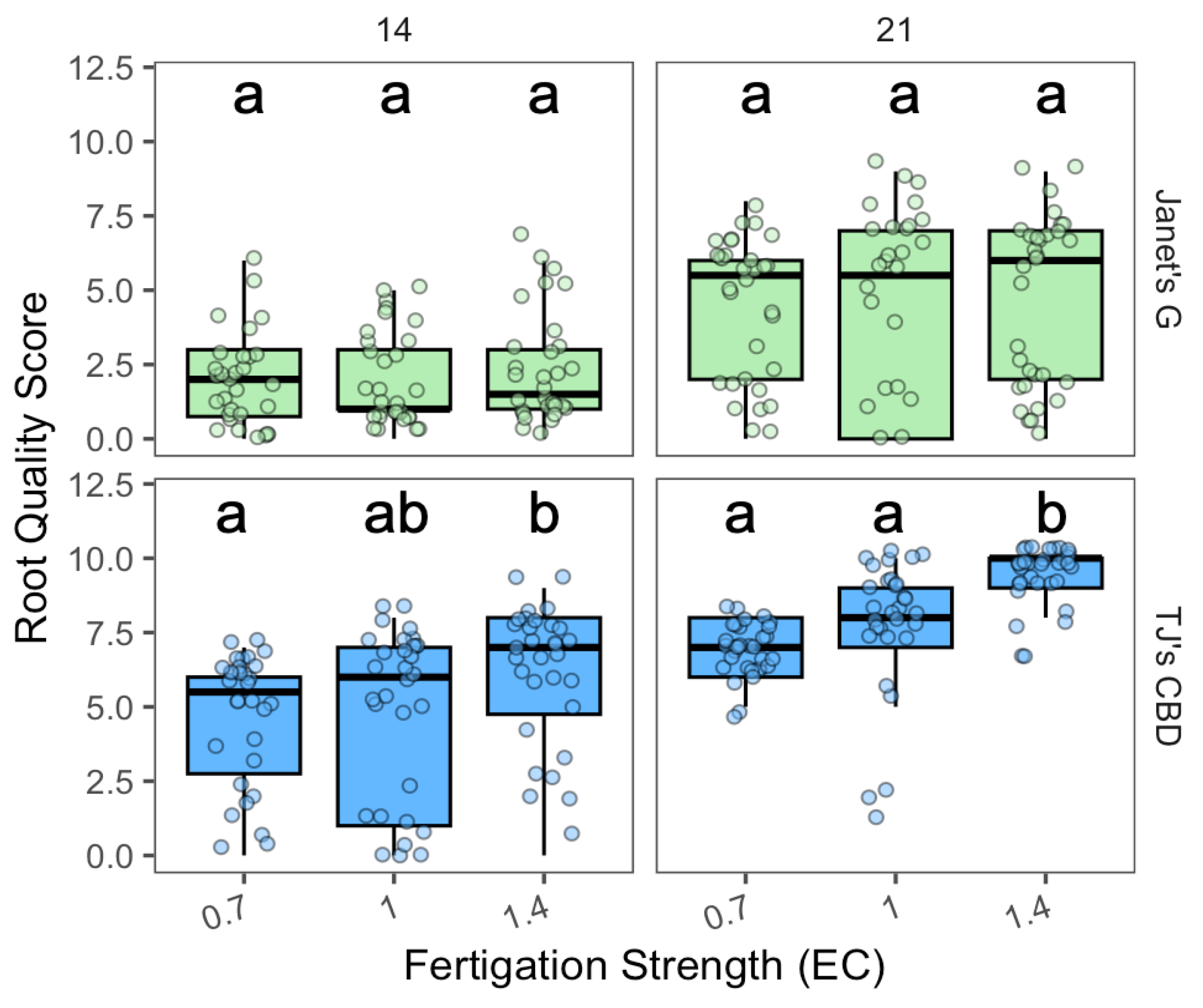 Plants 13 01256 g011