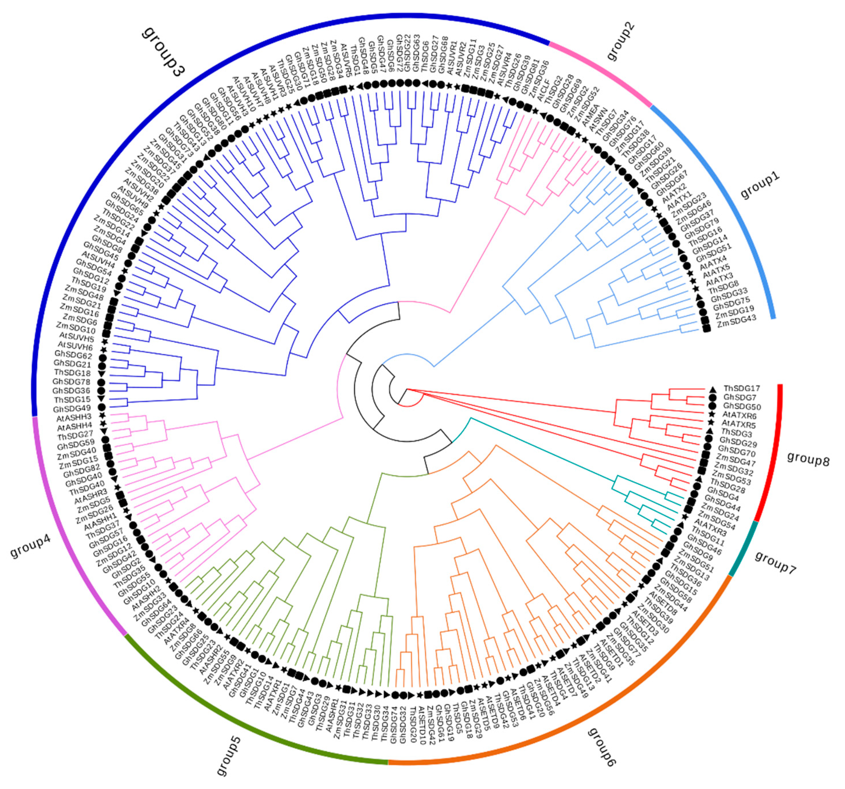 Plants 13 01257 g001