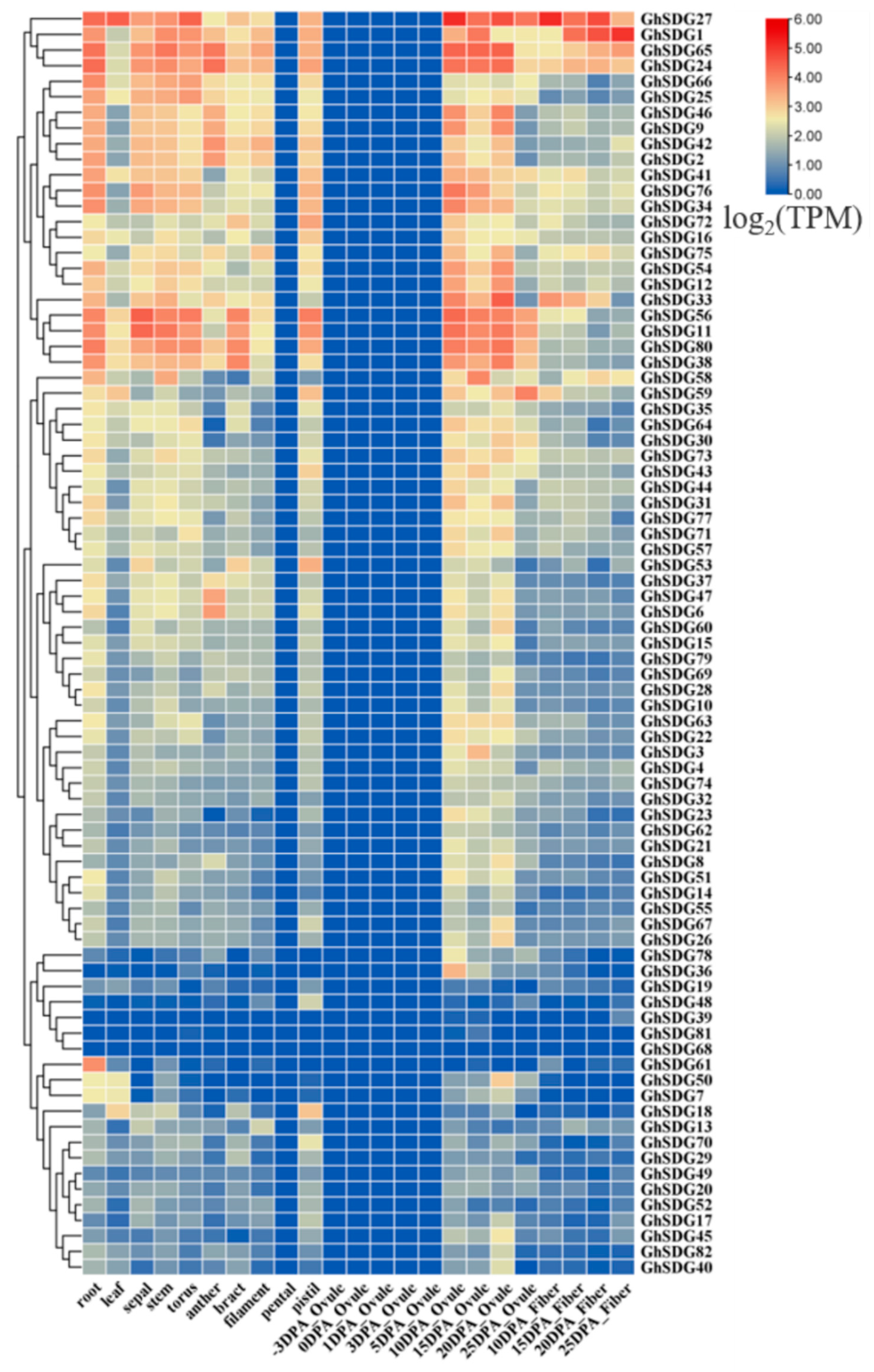 Plants 13 01257 g002