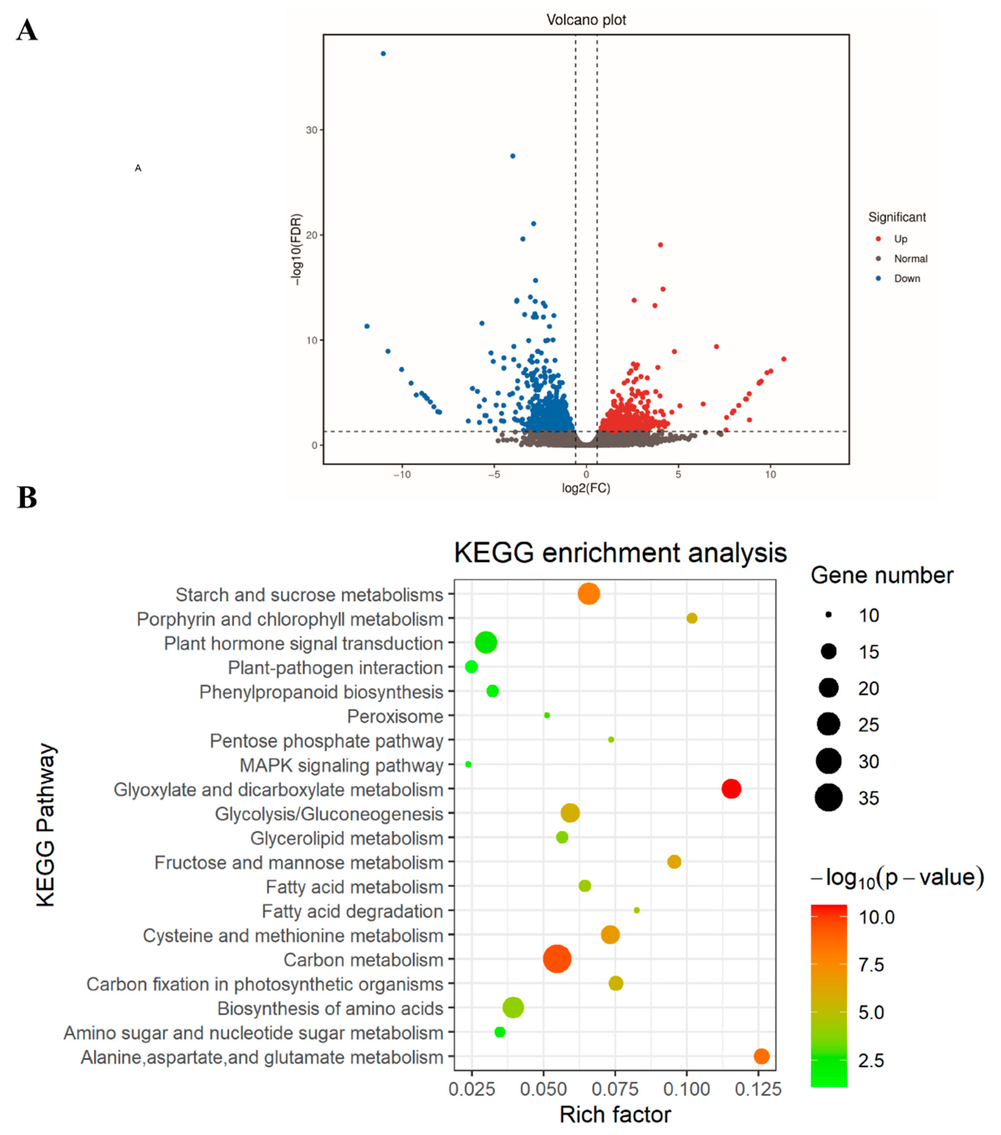 Plants 13 01257 g005