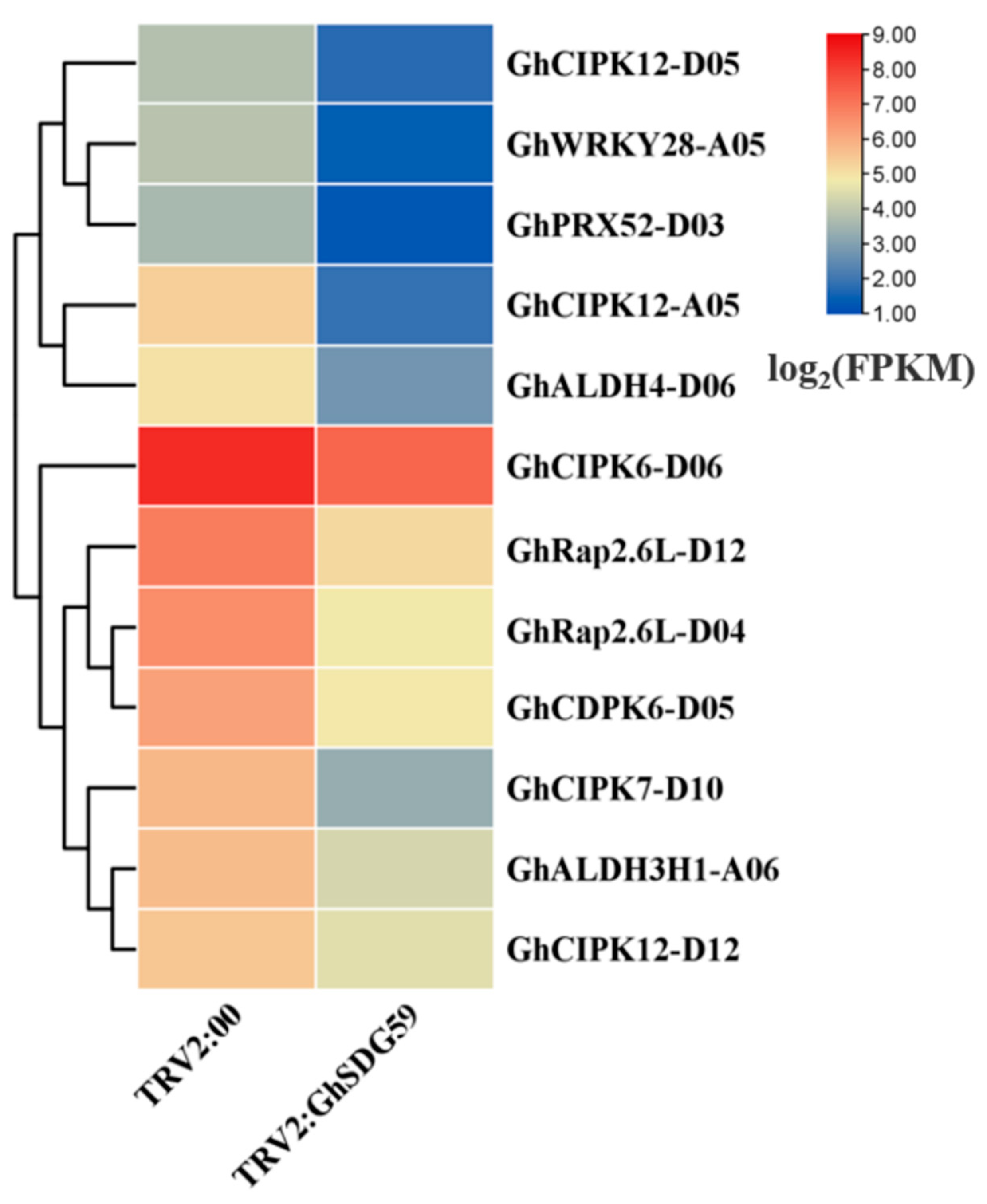 Plants 13 01257 g006