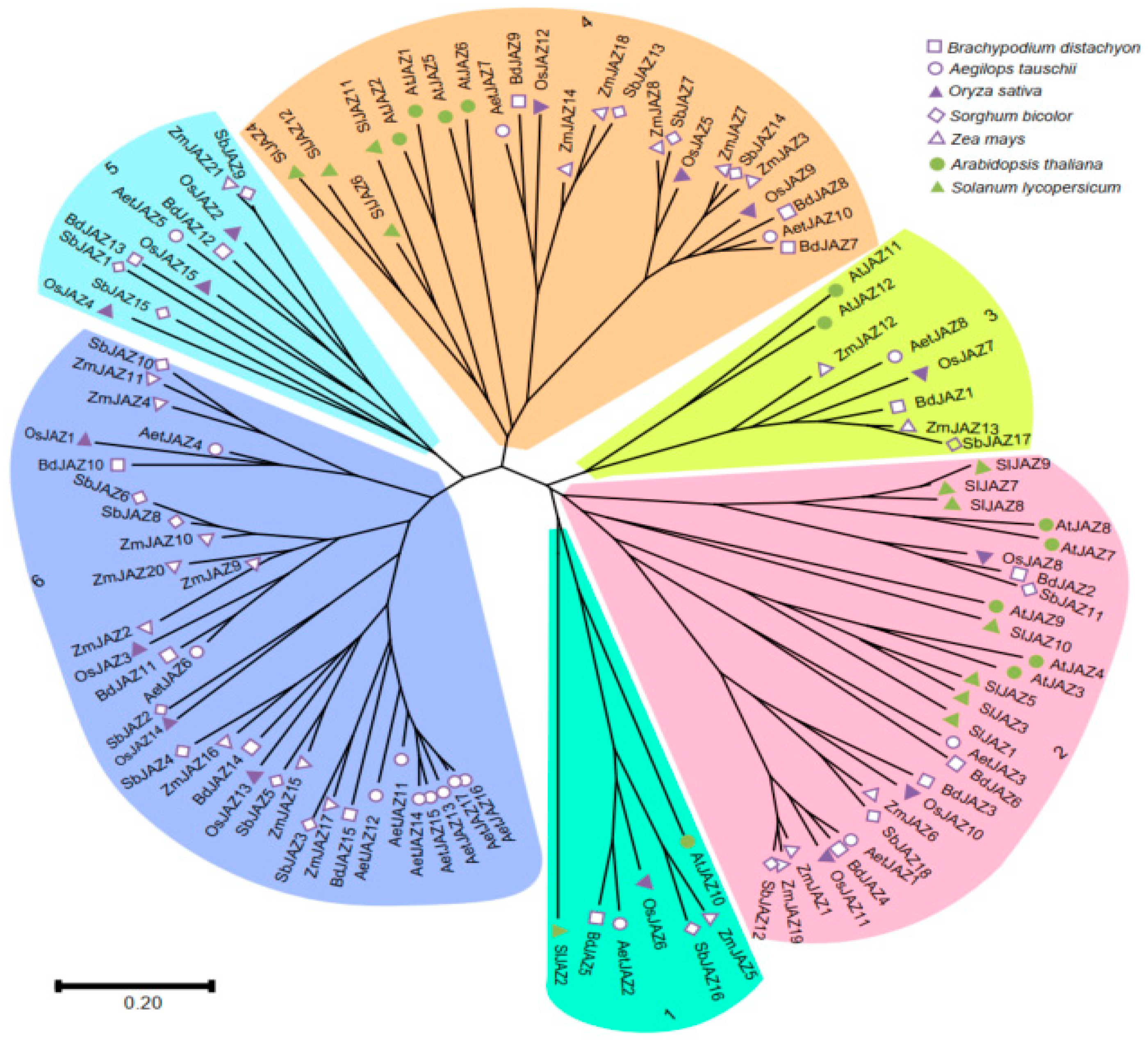Plants 13 01259 g002 Plants 13 01259 g002