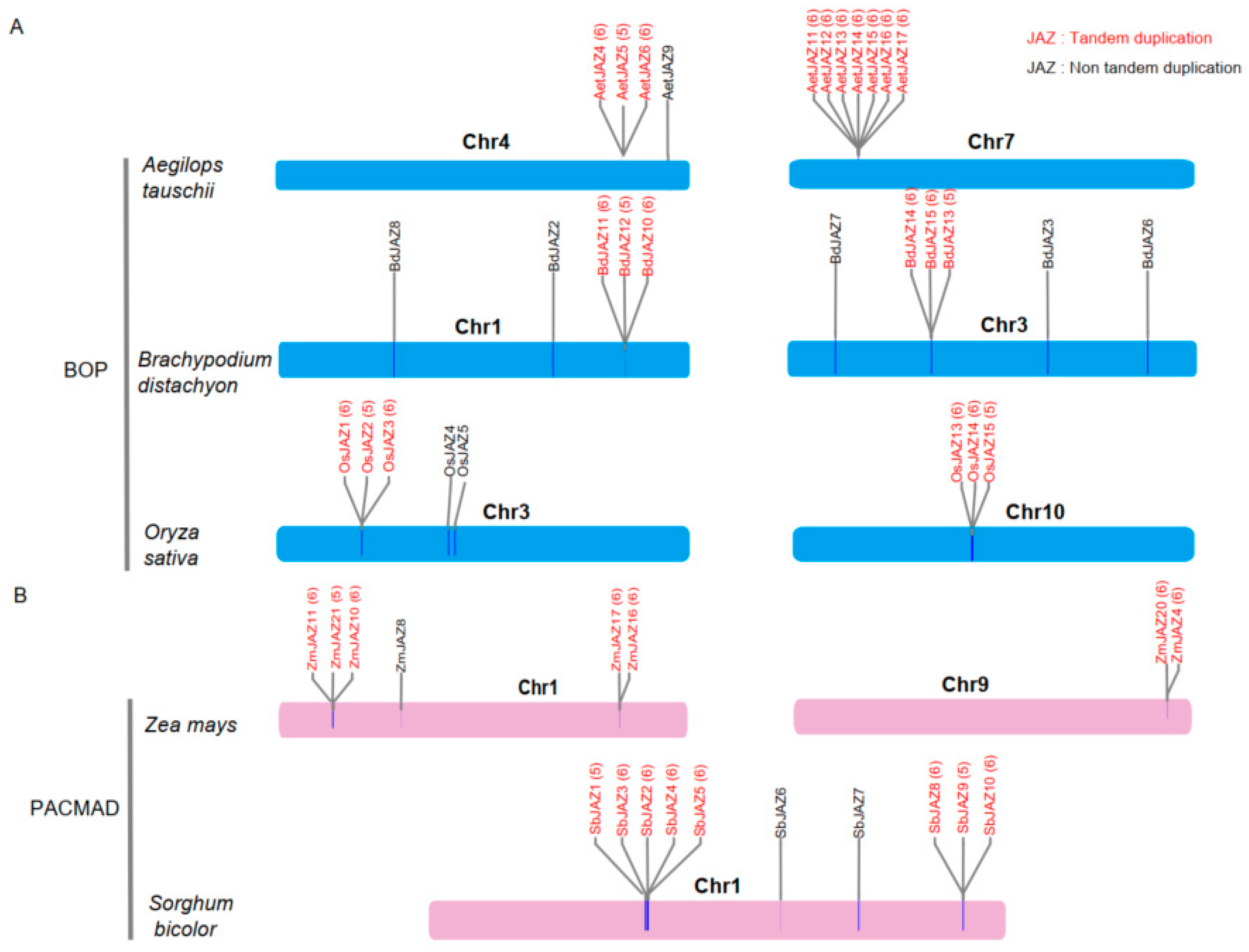 Plants 13 01259 g003 Plants 13 01259 g003