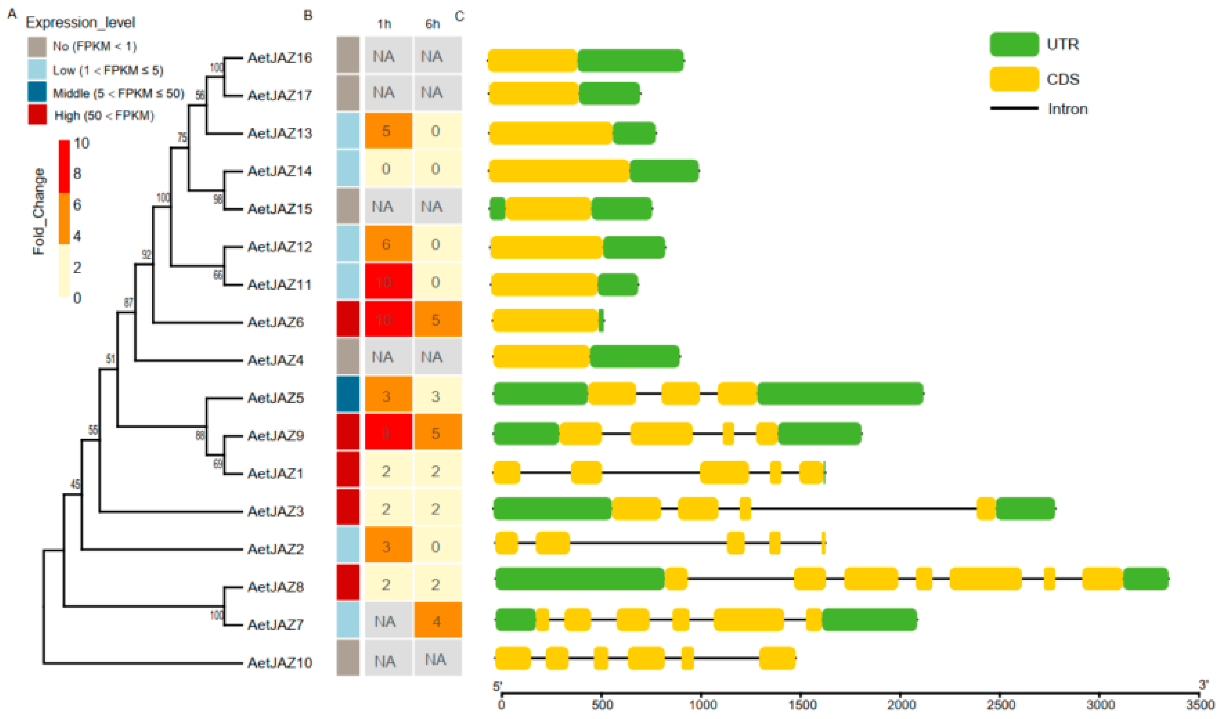 Plants 13 01259 g004 Plants 13 01259 g004