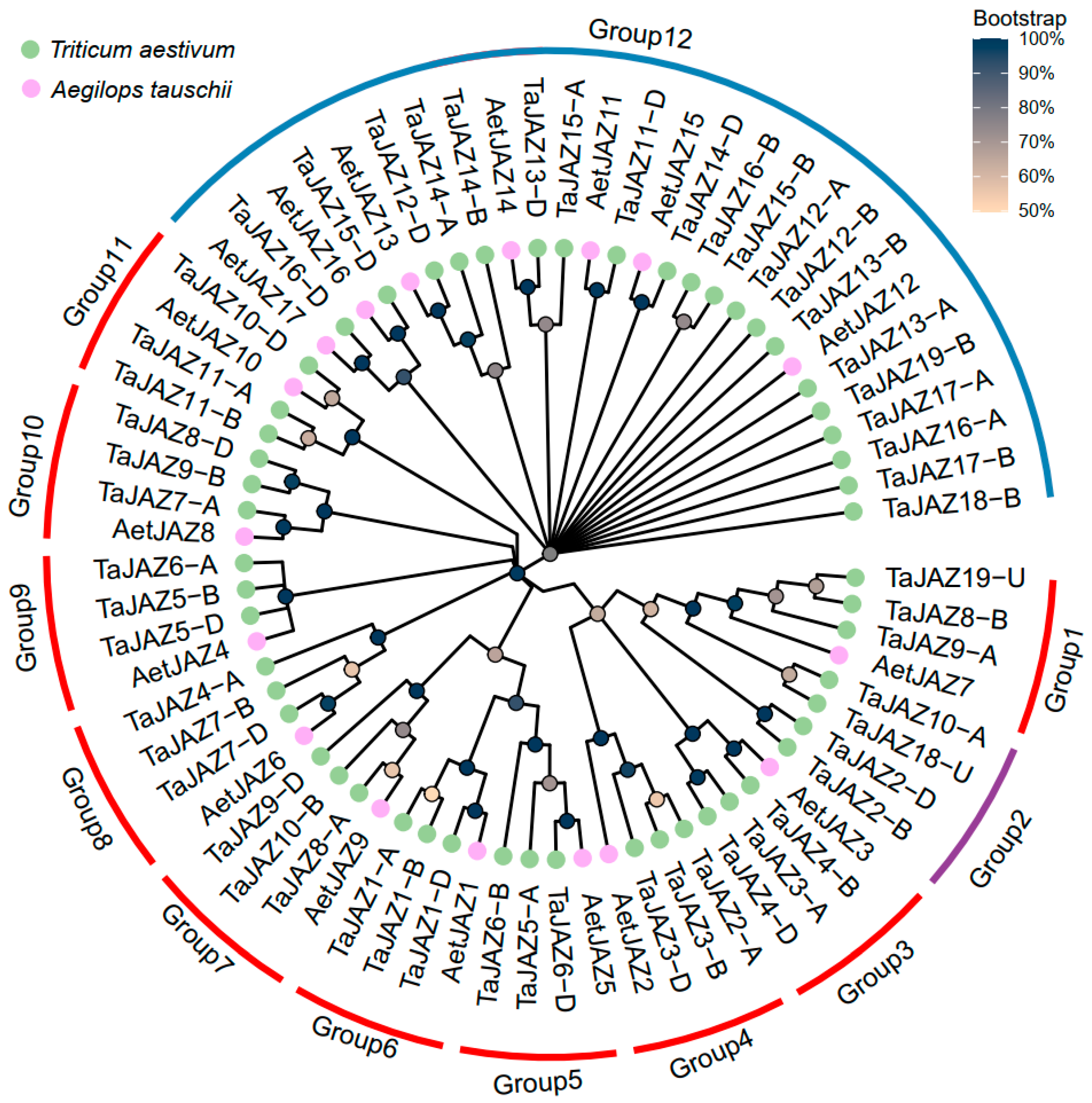 Plants 13 01259 g005 Plants 13 01259 g005