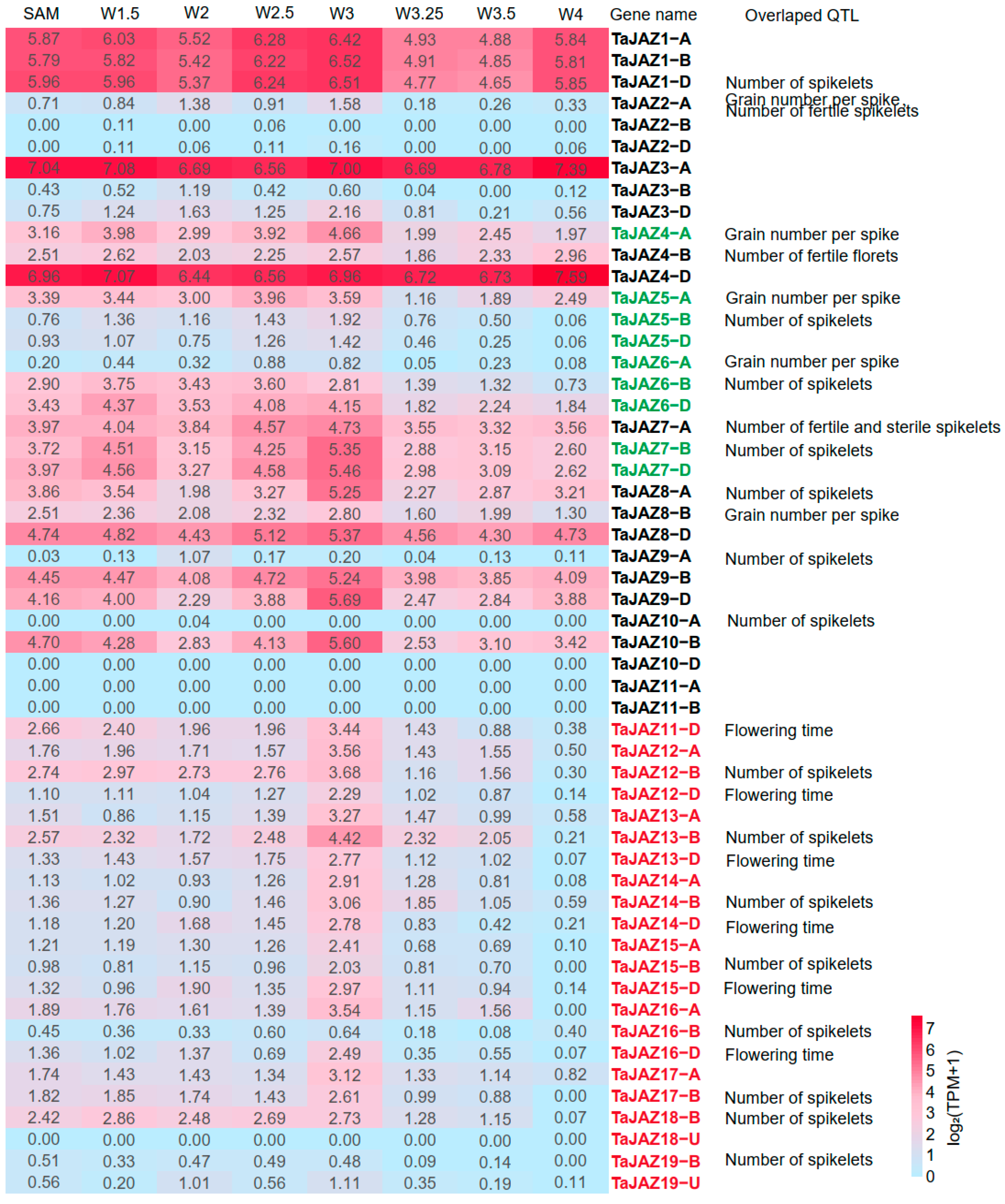 Plants 13 01259 g006 Plants 13 01259 g006