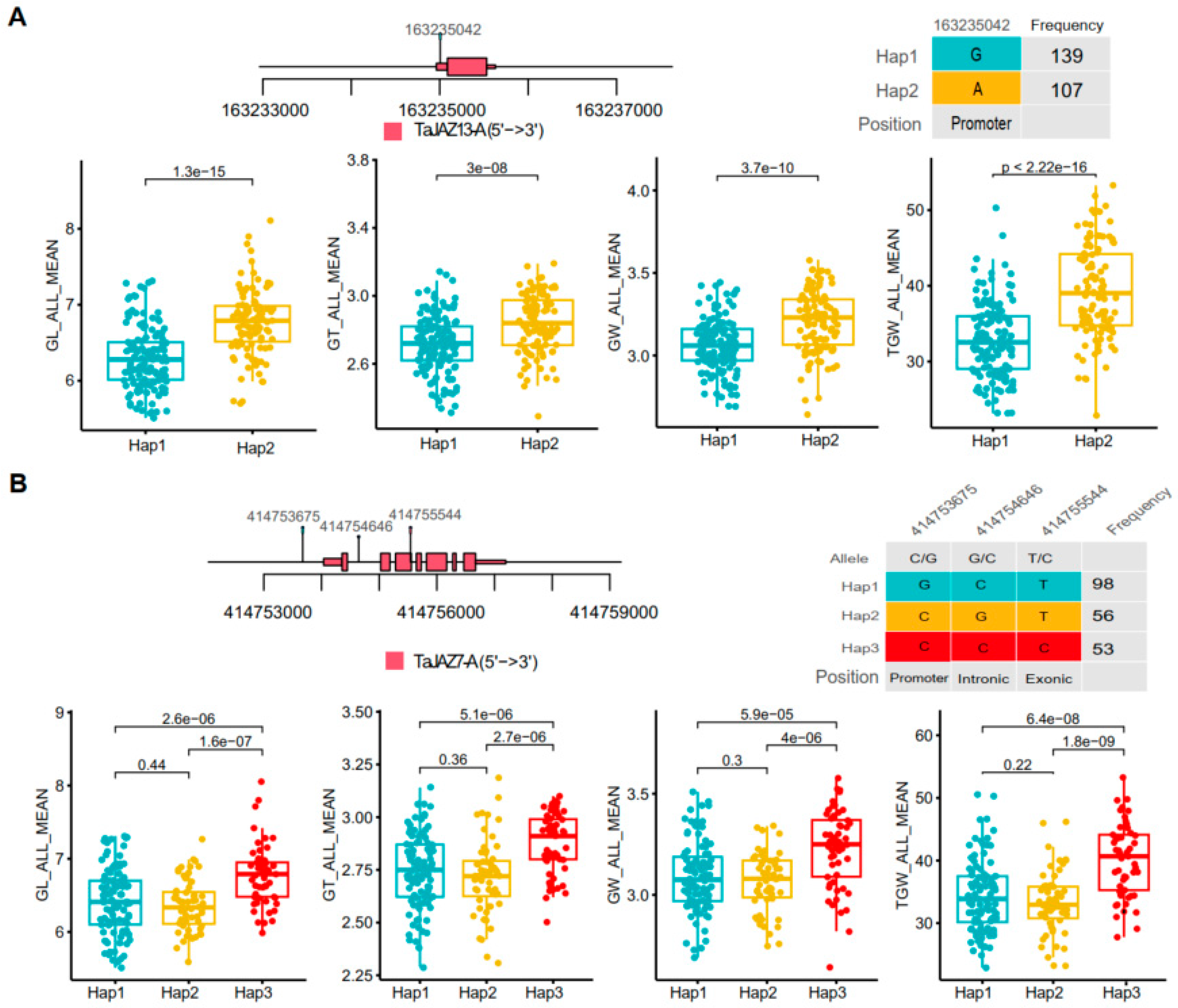 Plants 13 01259 g007 Plants 13 01259 g007
