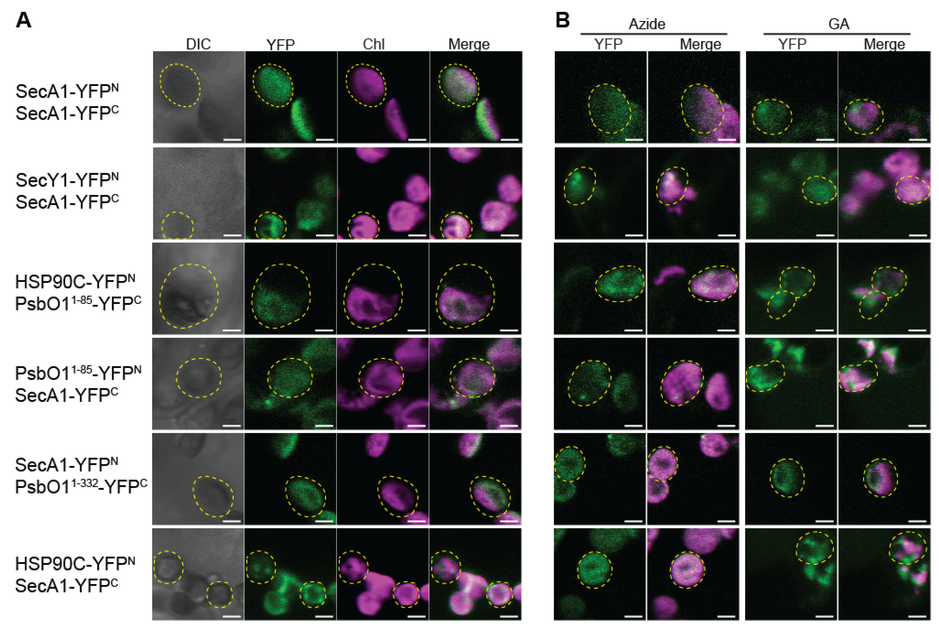 Plants 13 01265 g002 Plants 13 01265 g002