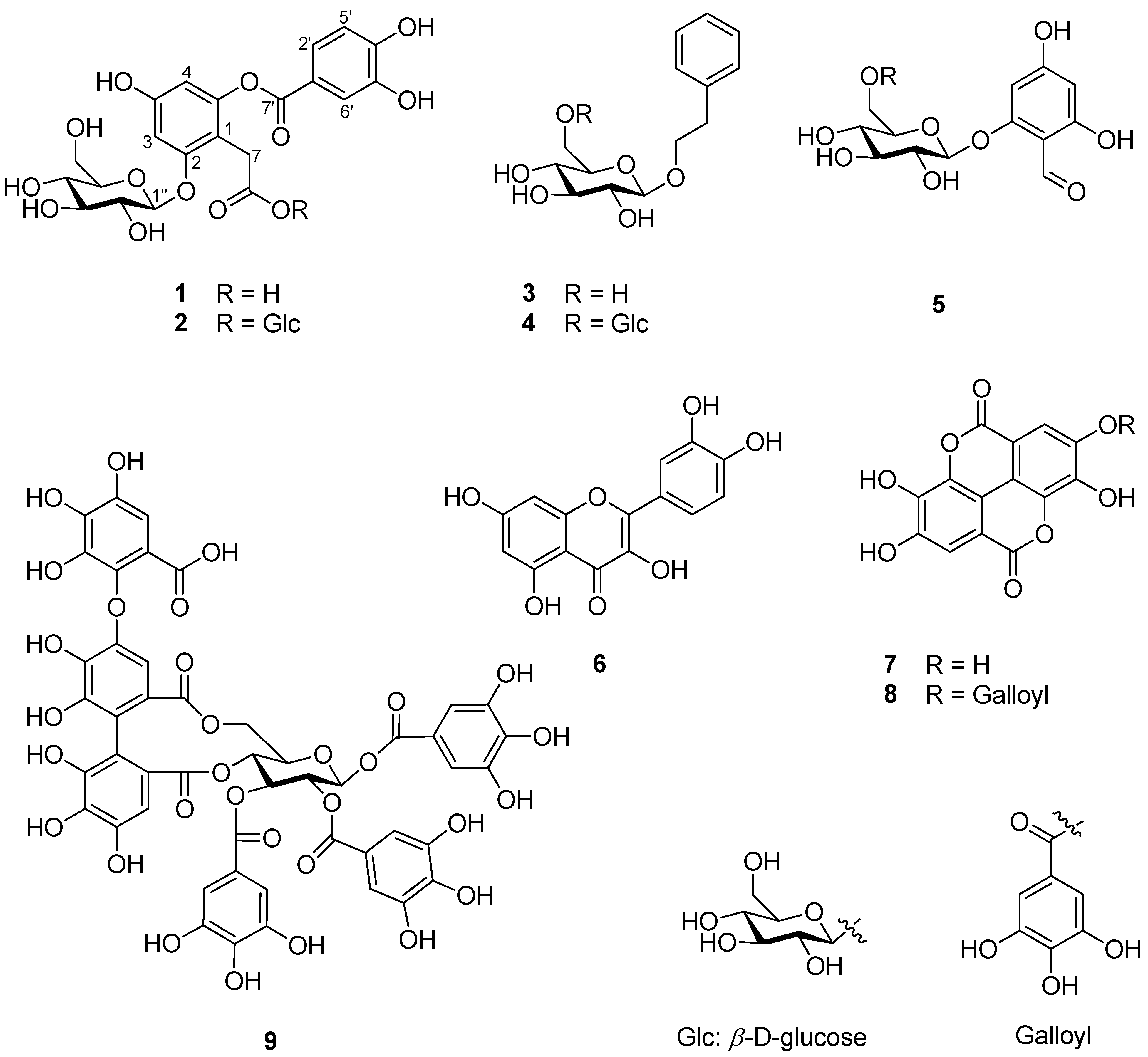 Plants 13 01266 g001