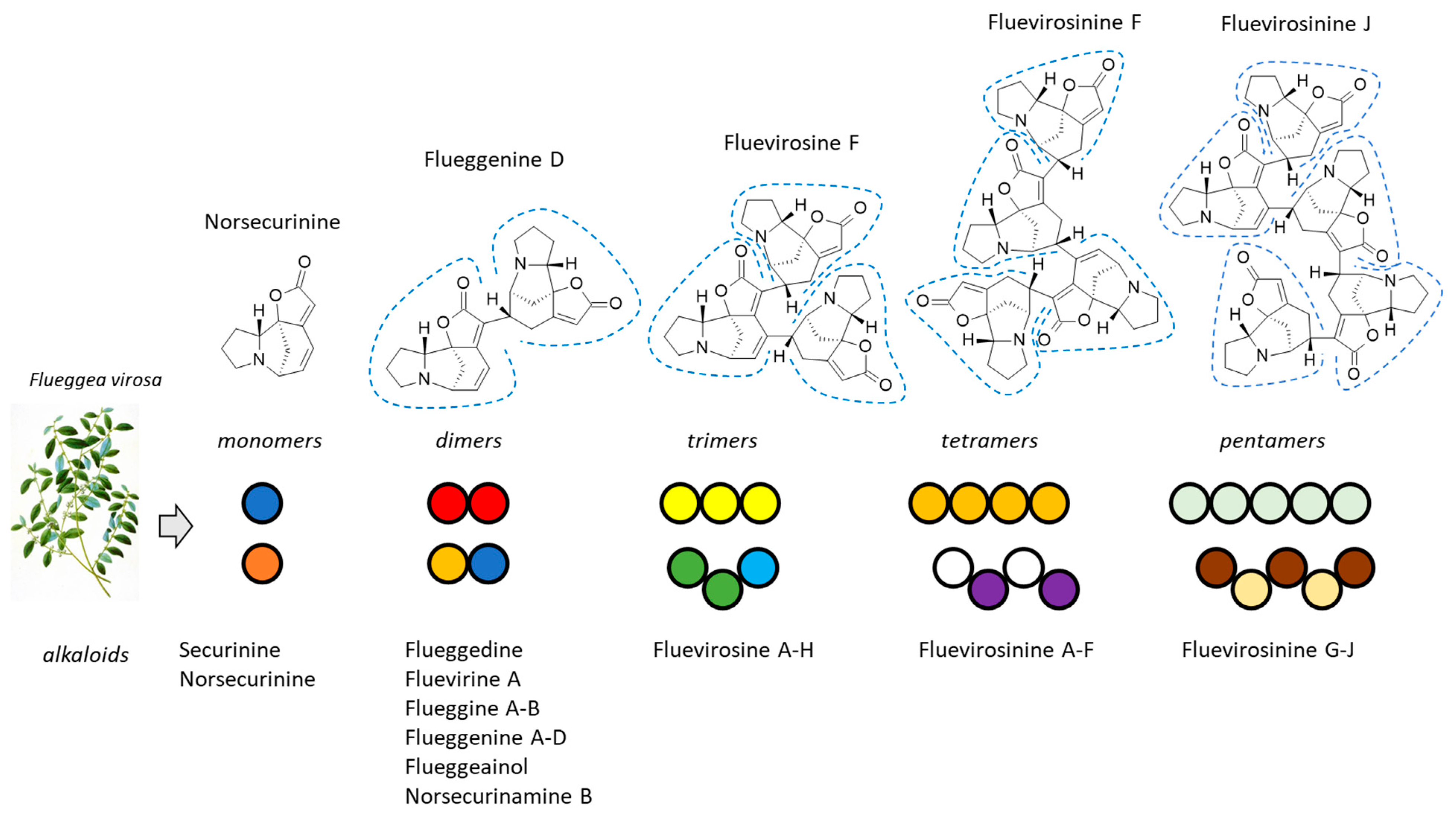 Plants 13 01269 g001