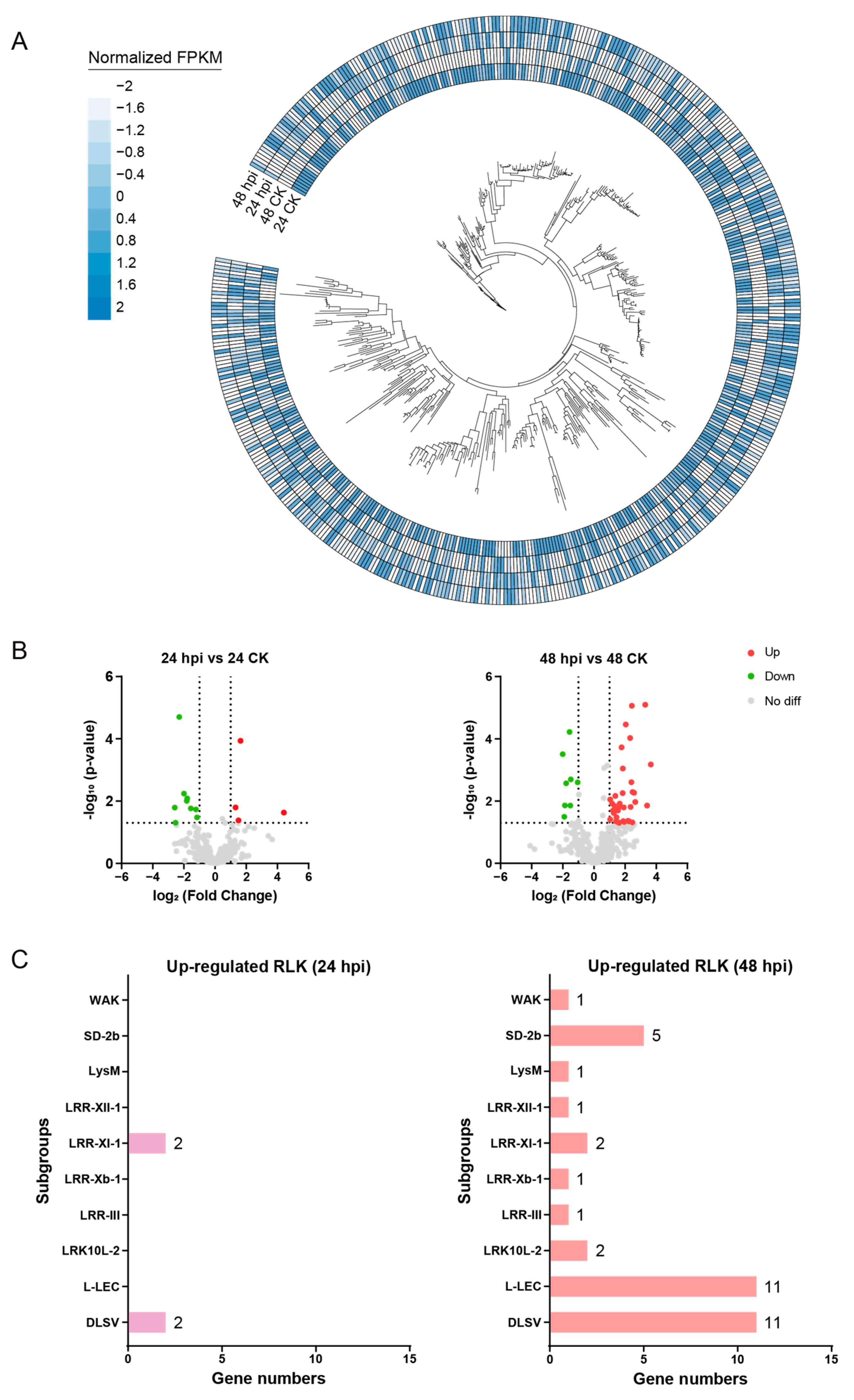 Plants 13 01274 g006