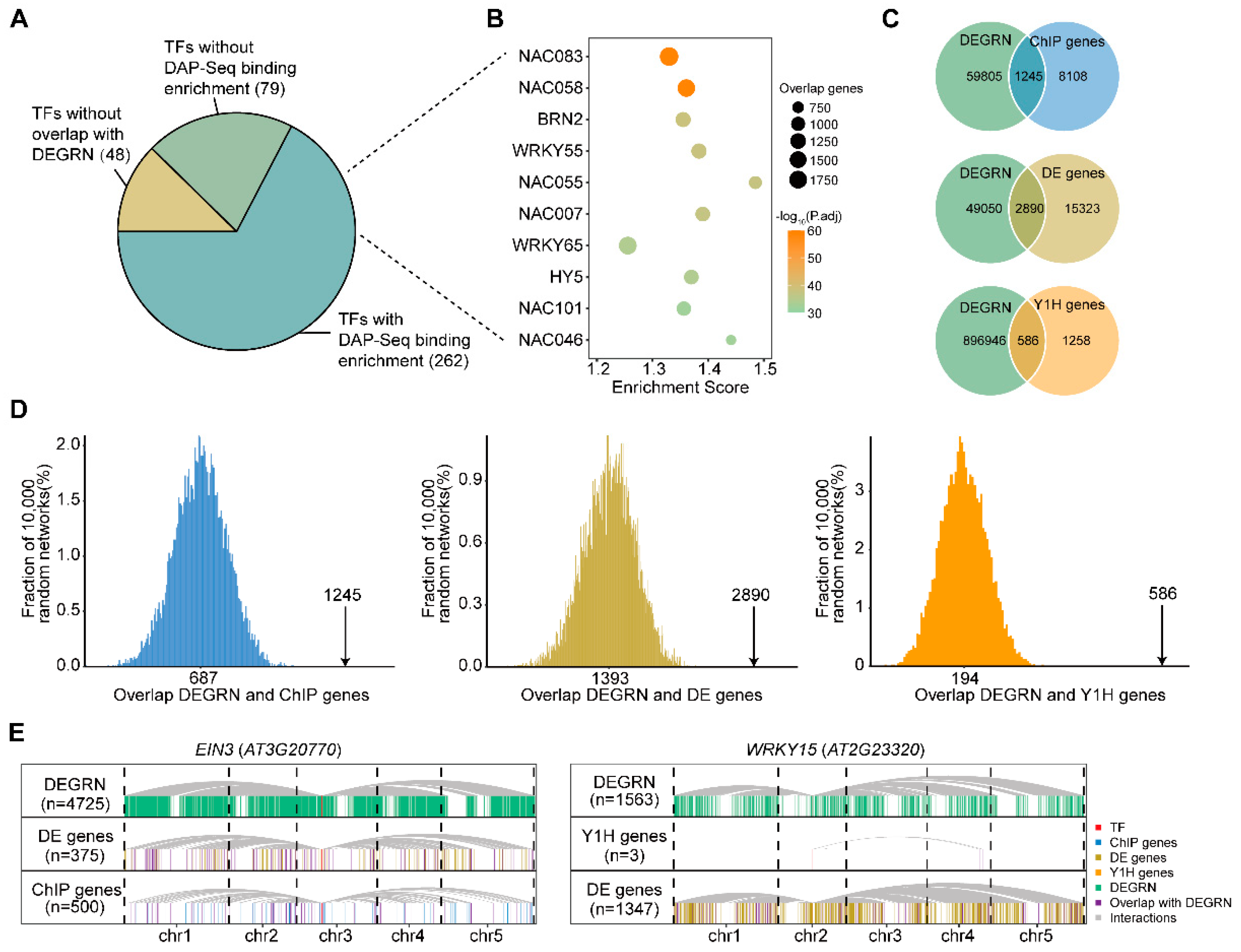 Plants 13 01276 g002 Plants 13 01276 g002