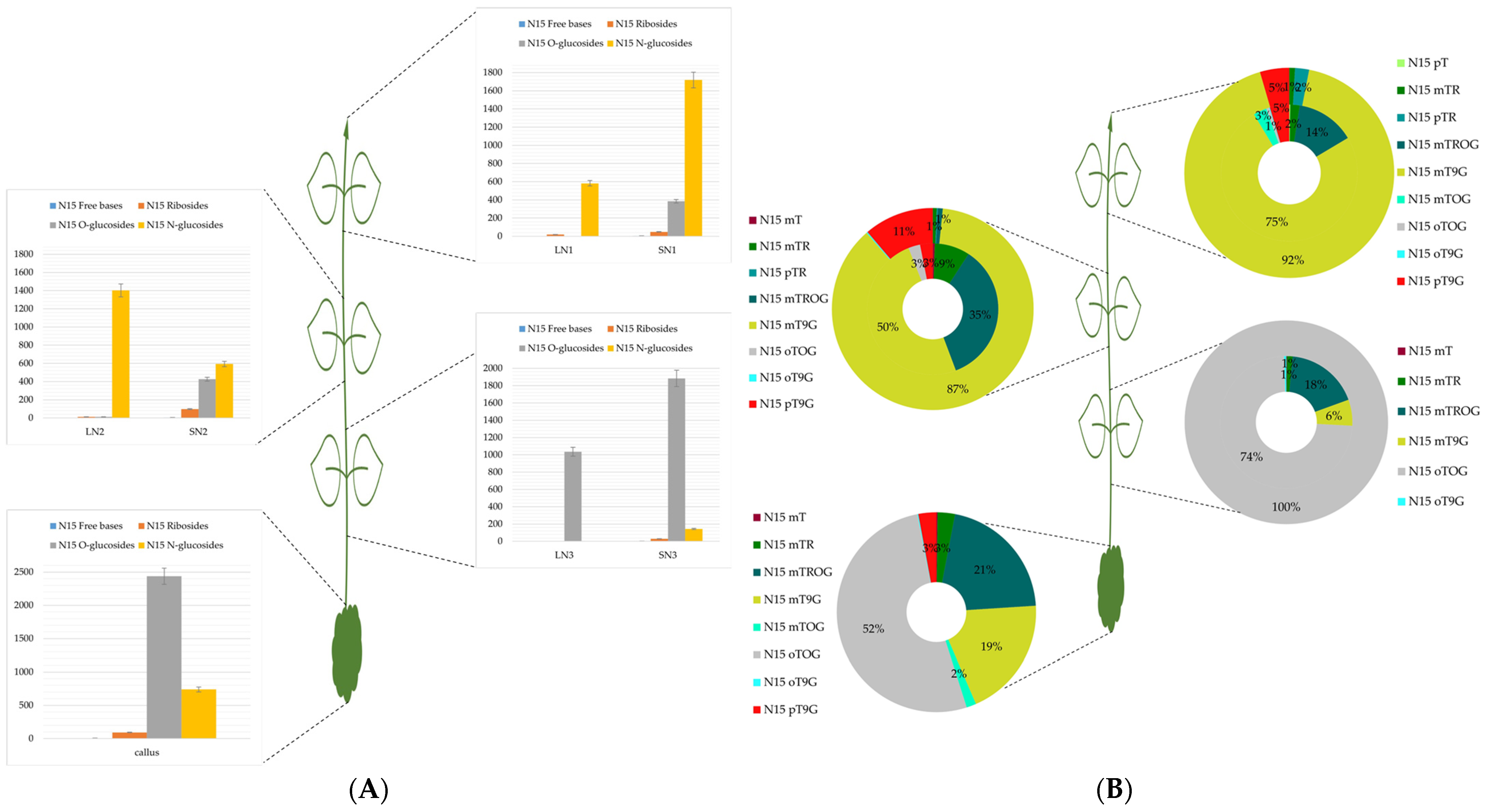 Plants 13 01281 g002
