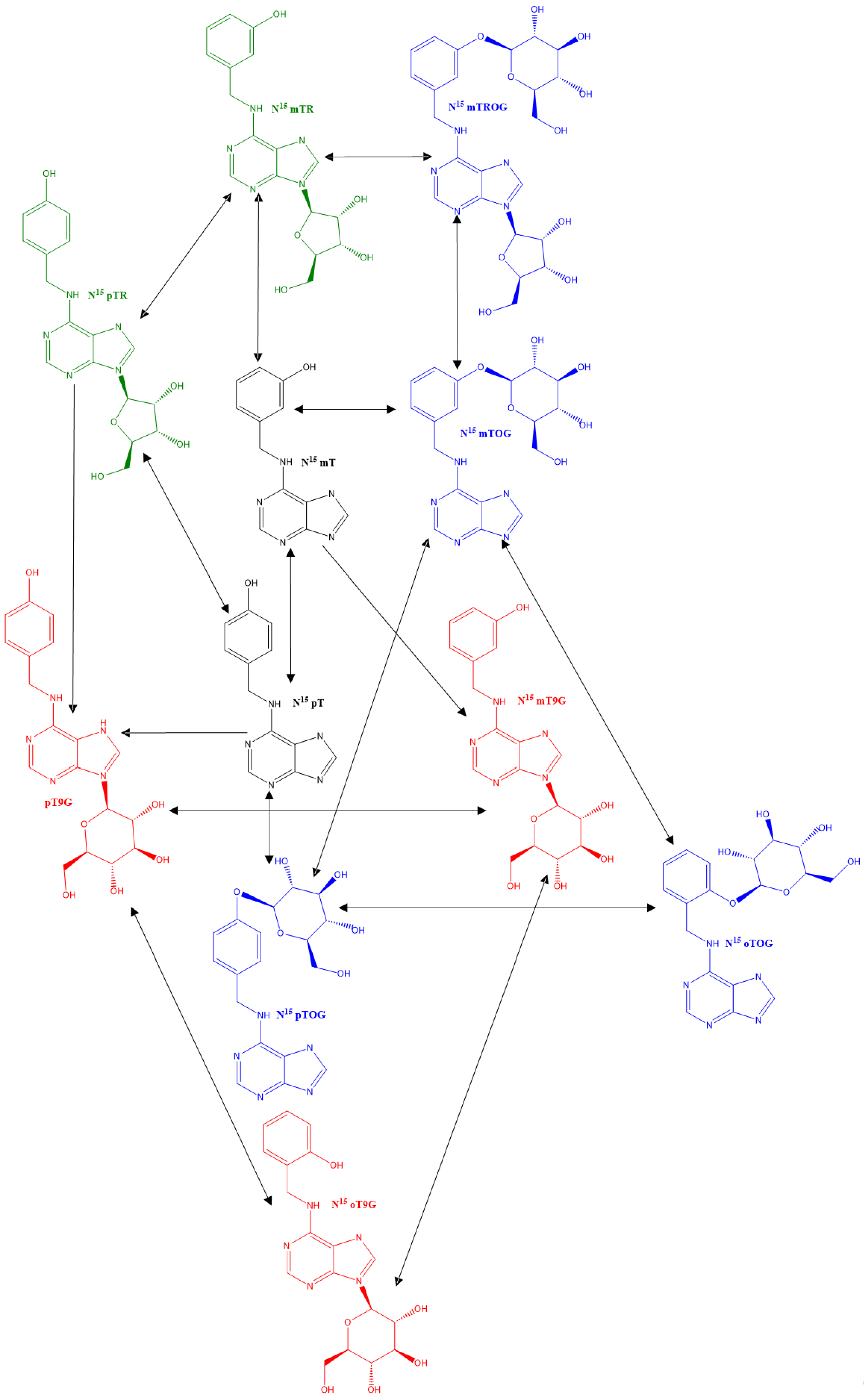 Plants 13 01281 g004