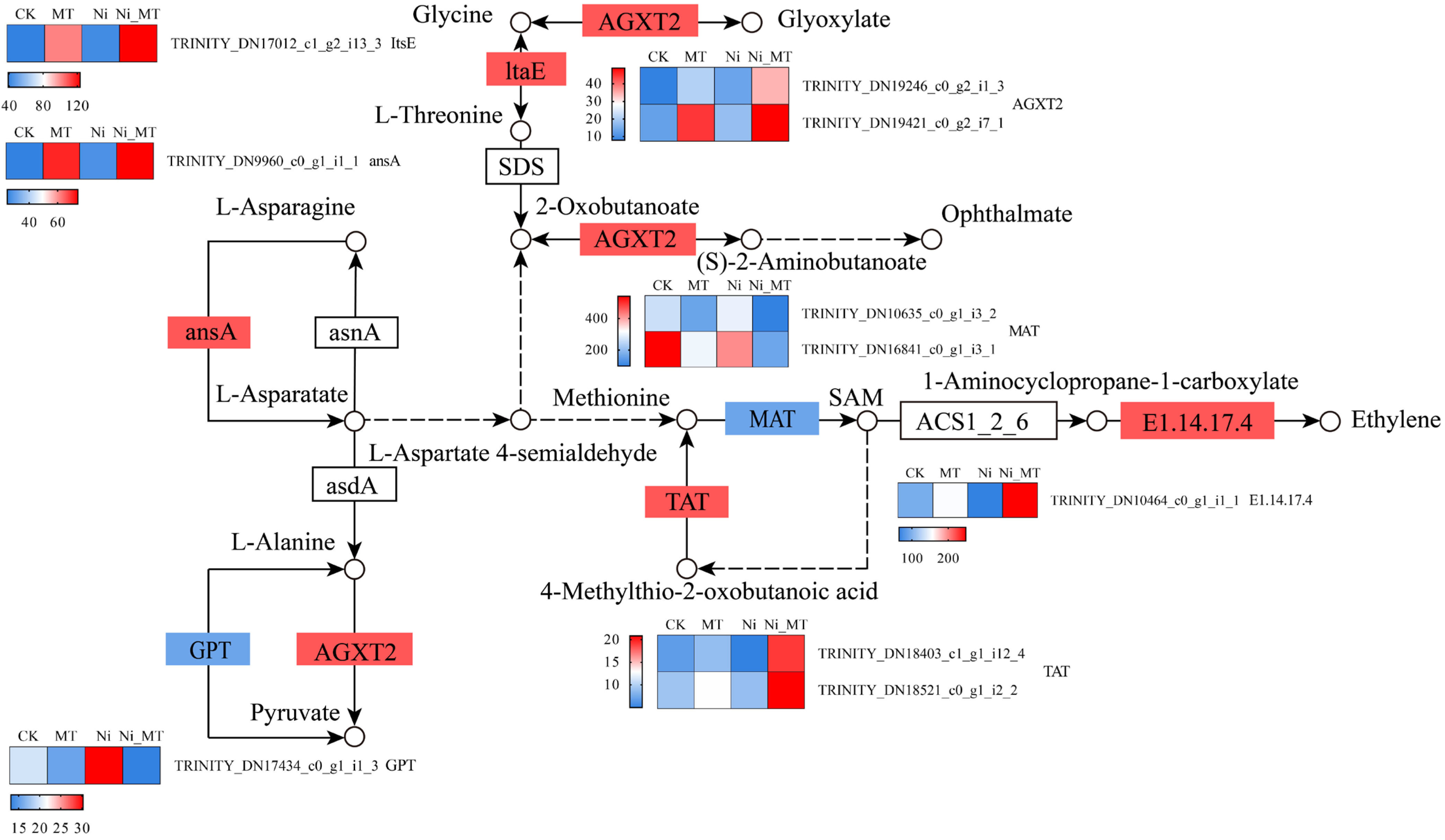 Plants 13 01287 g005