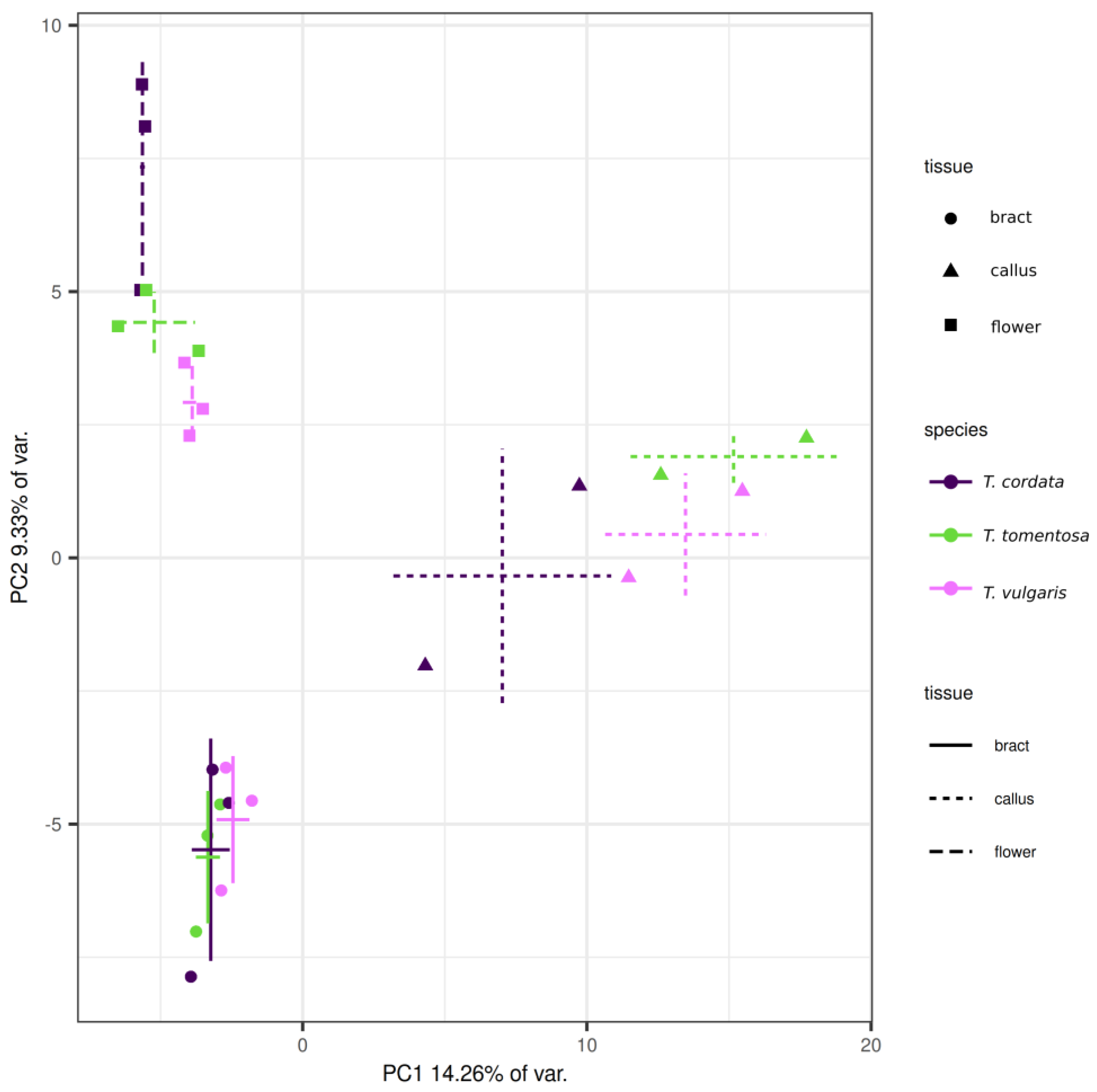 Plants 13 01288 g001