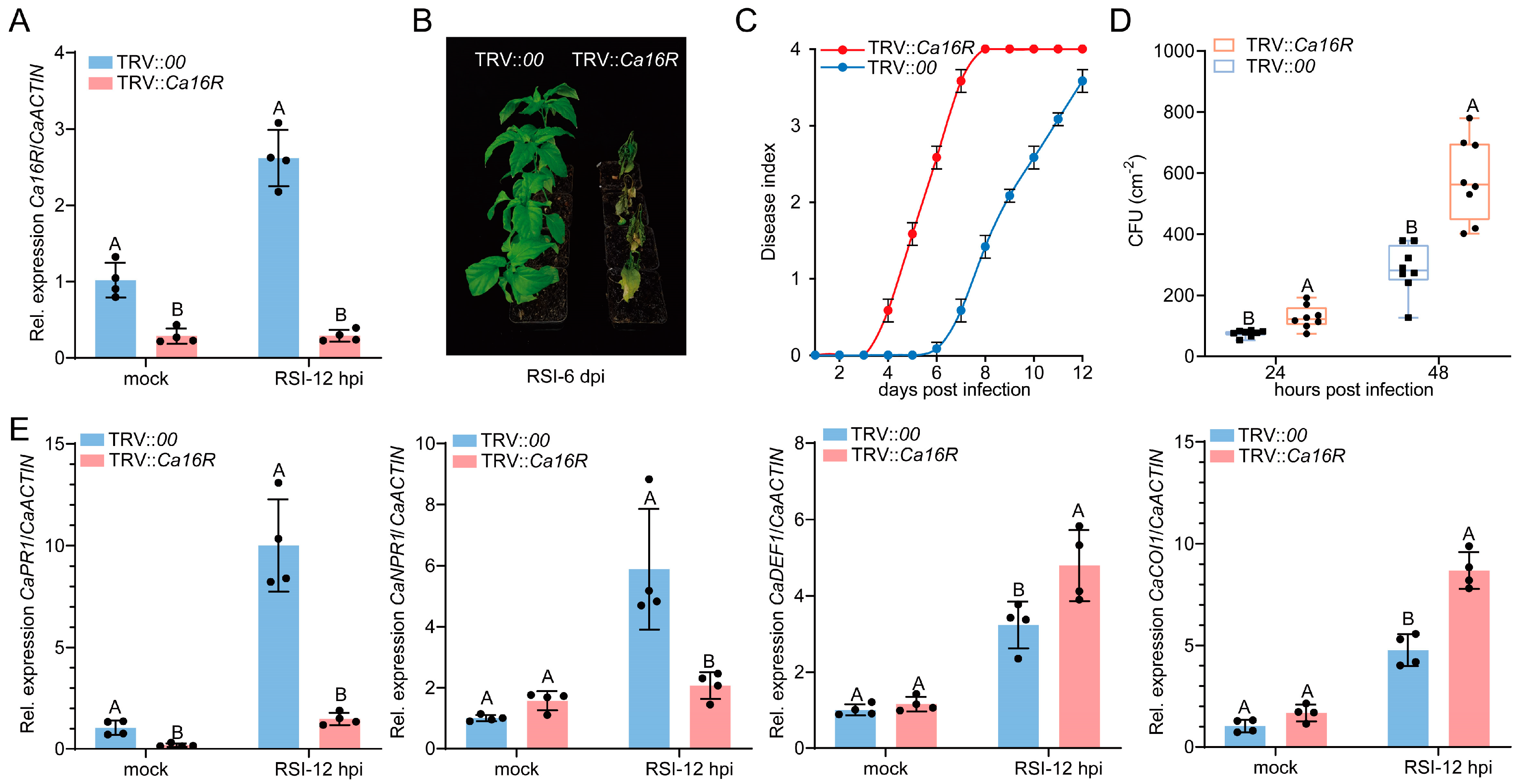 Plants 13 01289 g002