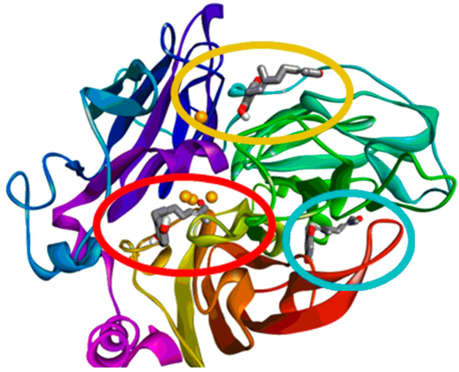 Plants 13 01294 g005