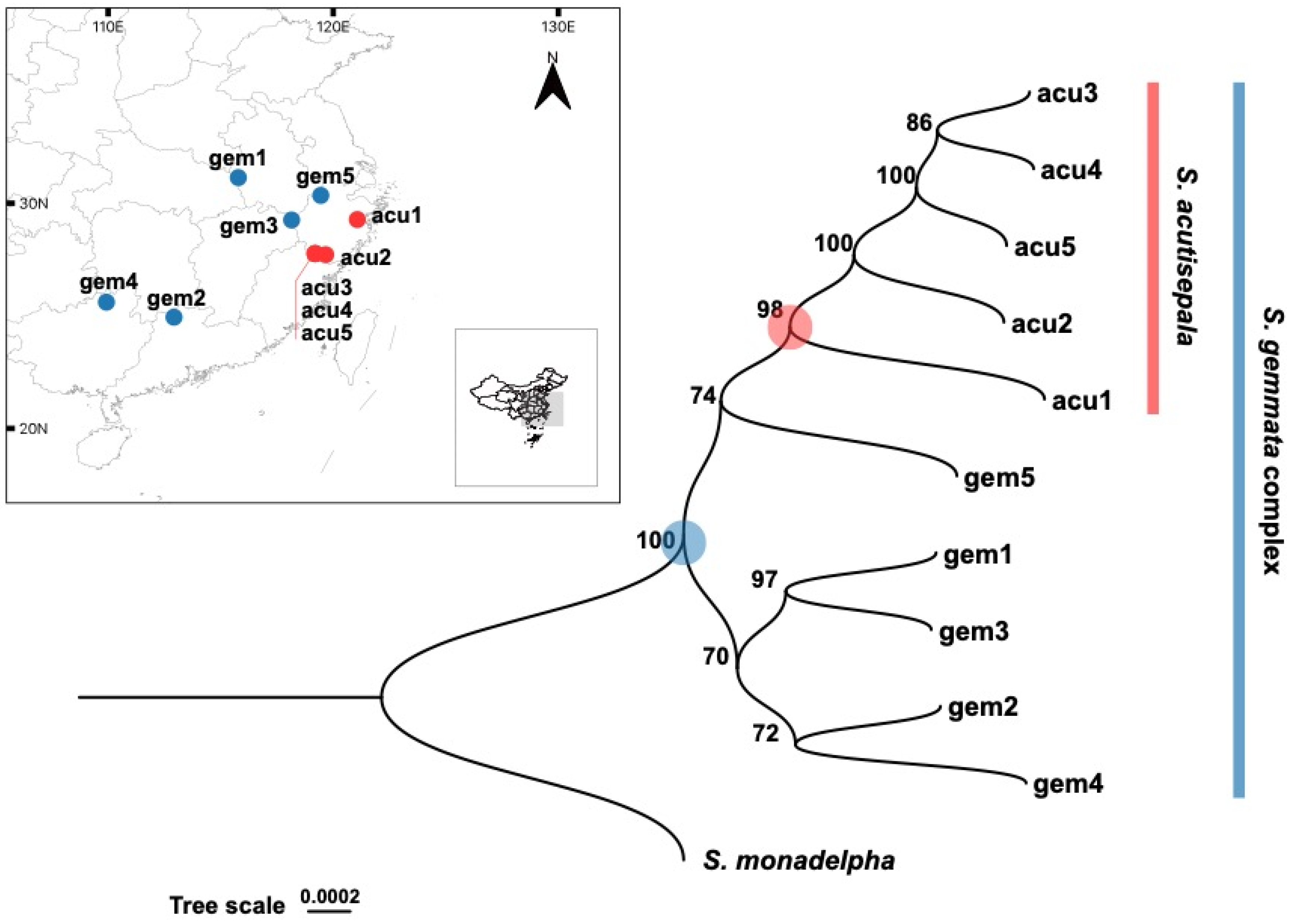 Plants 13 01296 g001