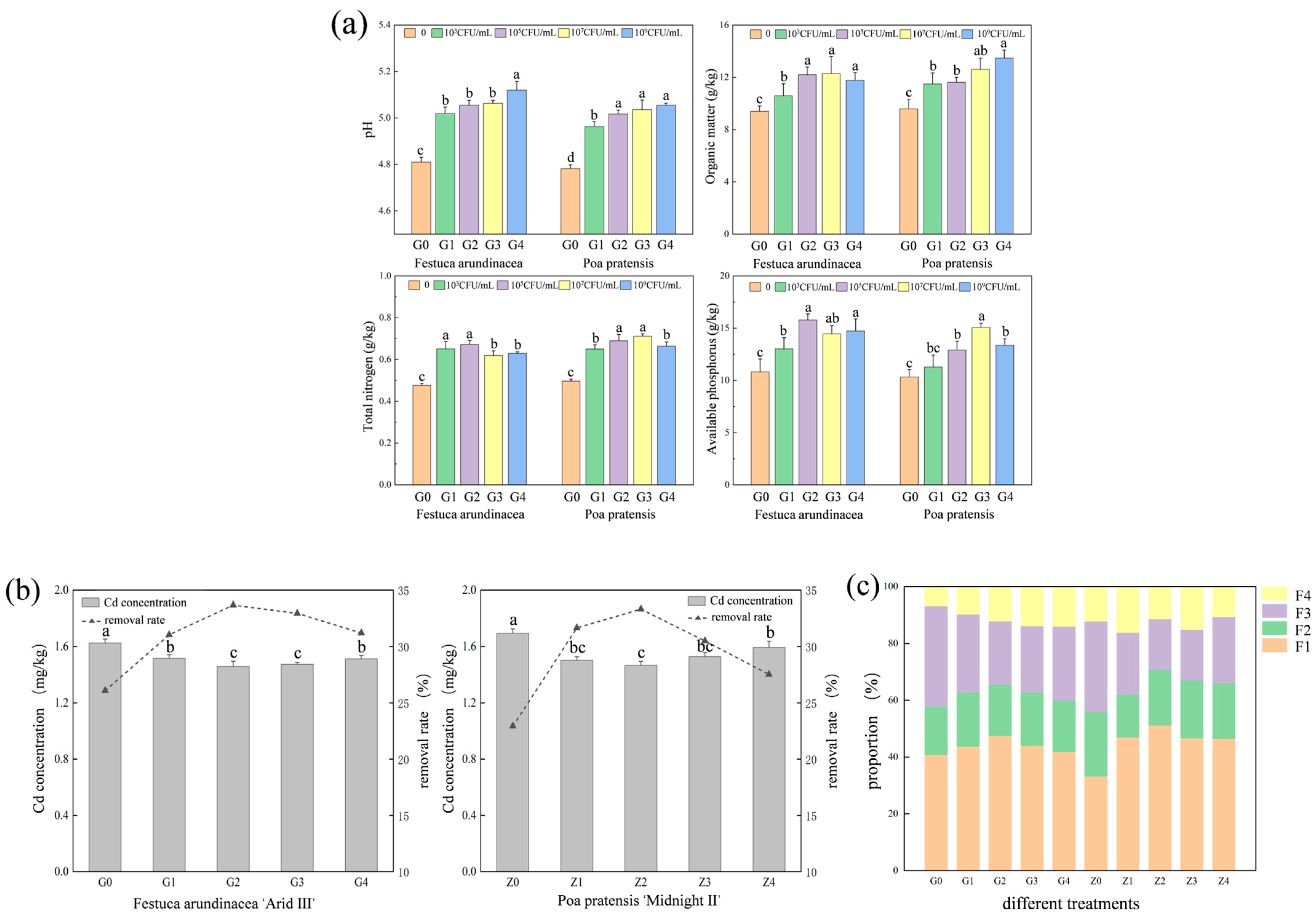 Plants 13 01303 g001