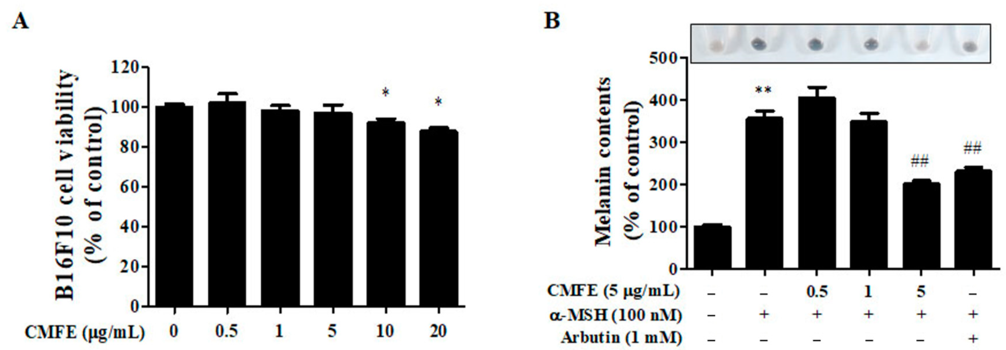 Plants 13 01305 g001