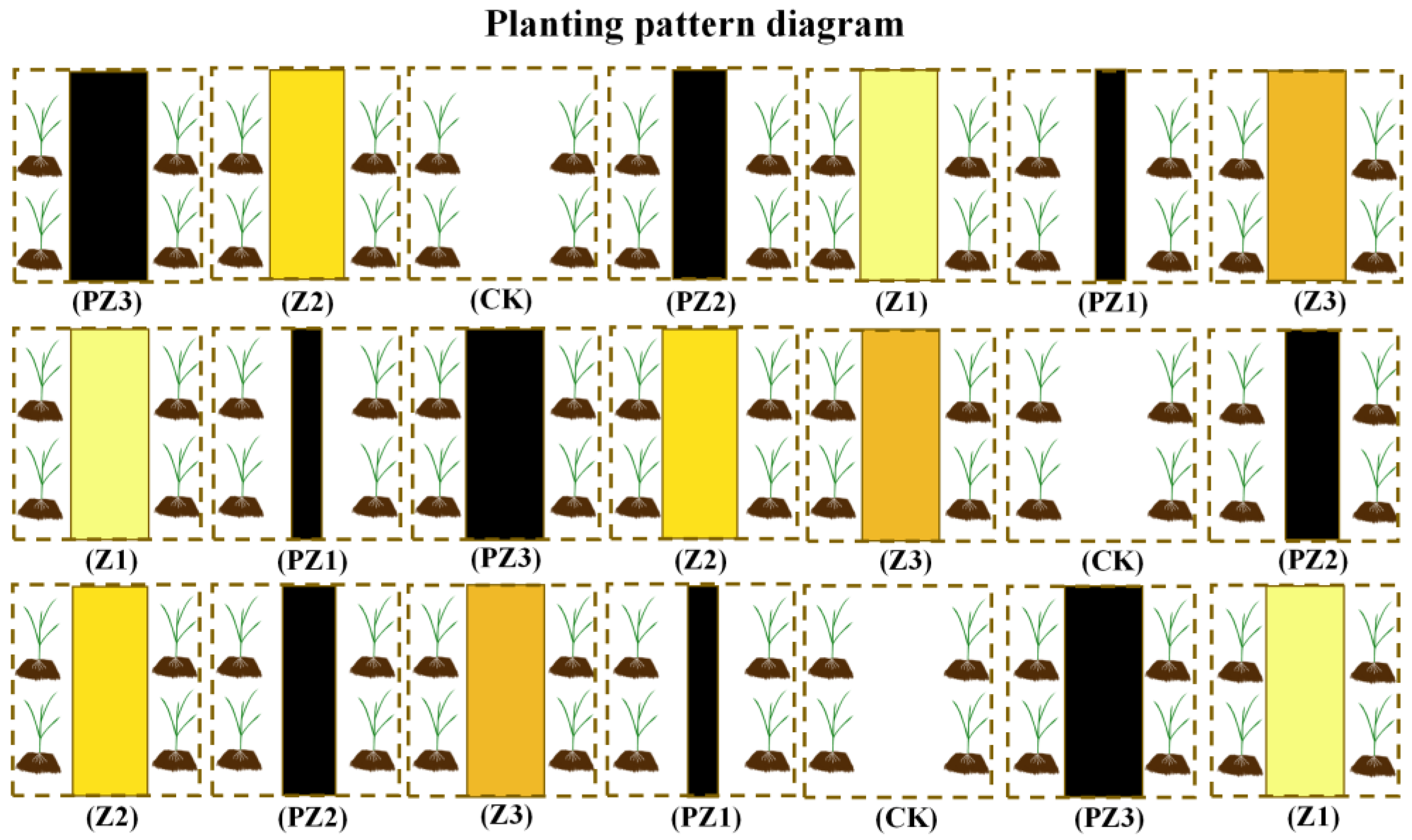 Plants 13 01315 g014