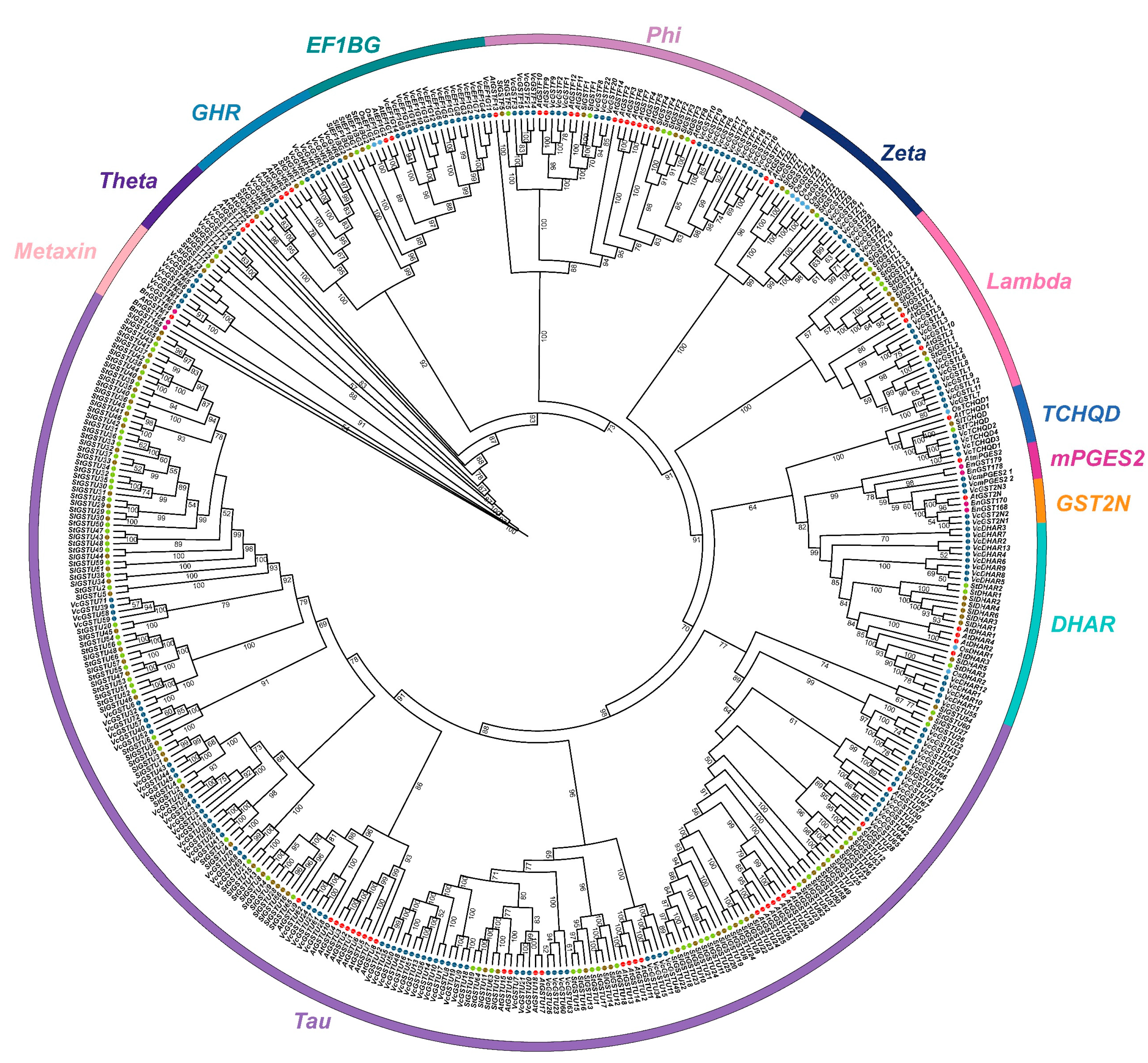 Plants 13 01316 g001 Plants 13 01316 g001