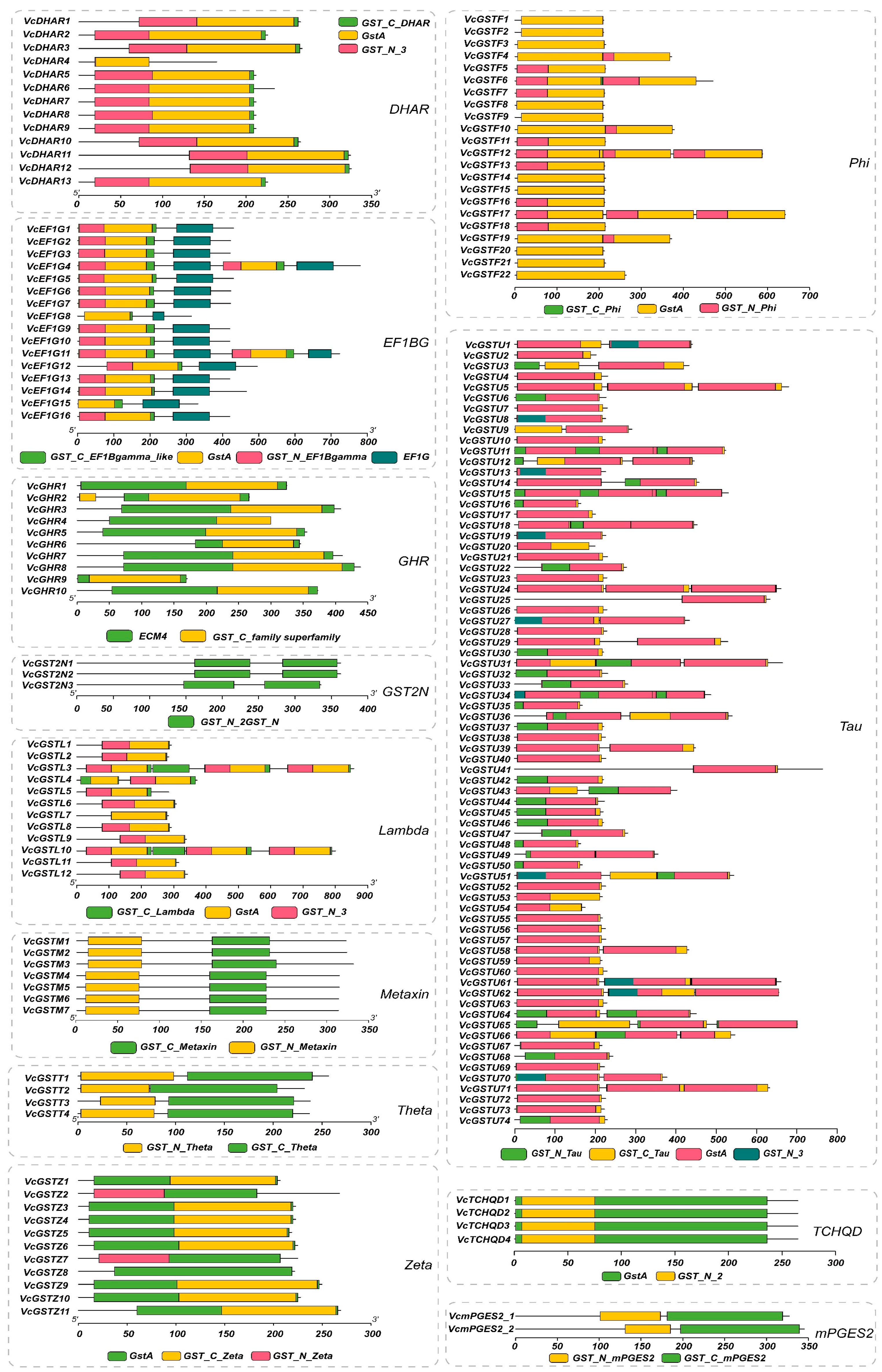 Plants 13 01316 g005 Plants 13 01316 g005