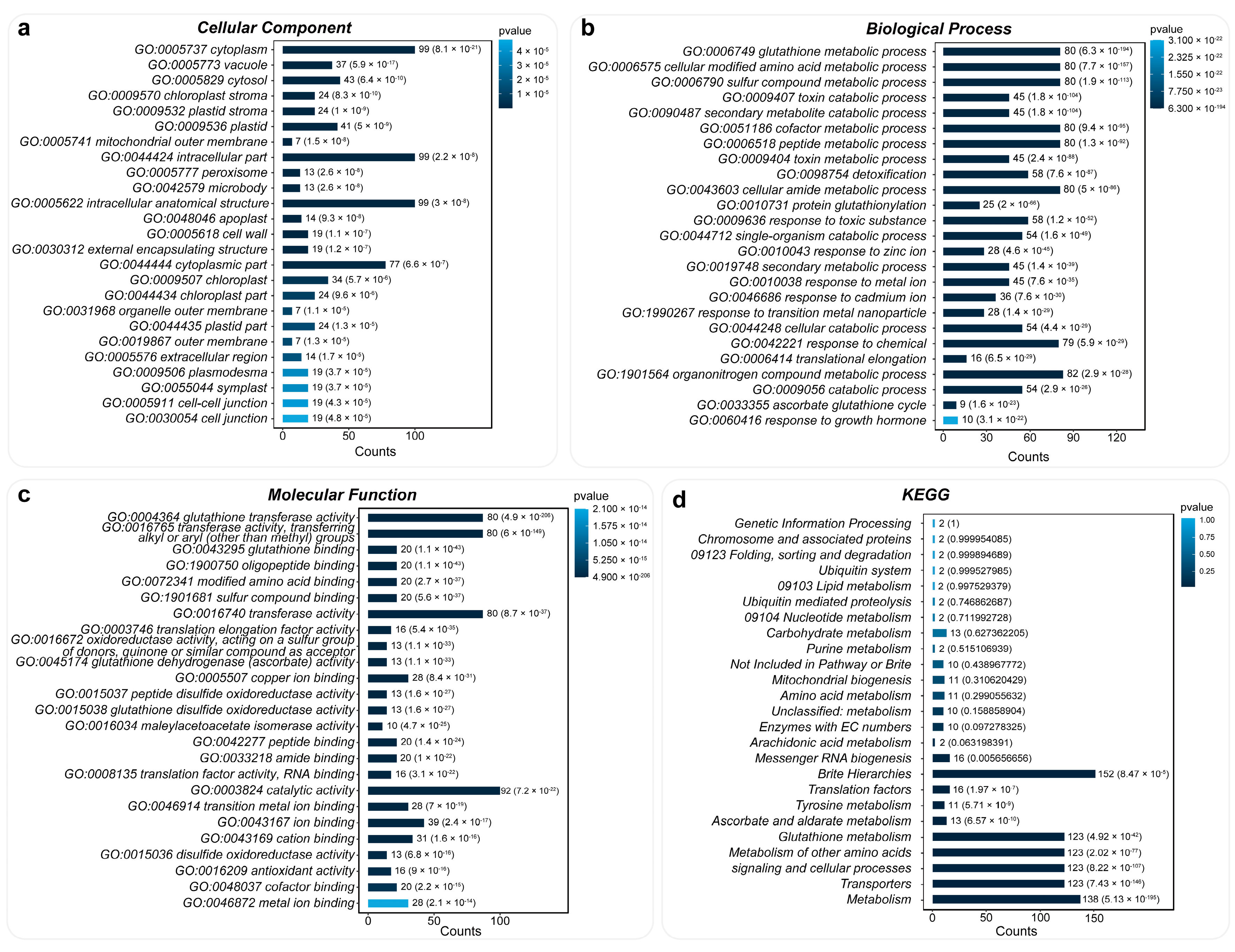 Plants 13 01316 g006 Plants 13 01316 g006