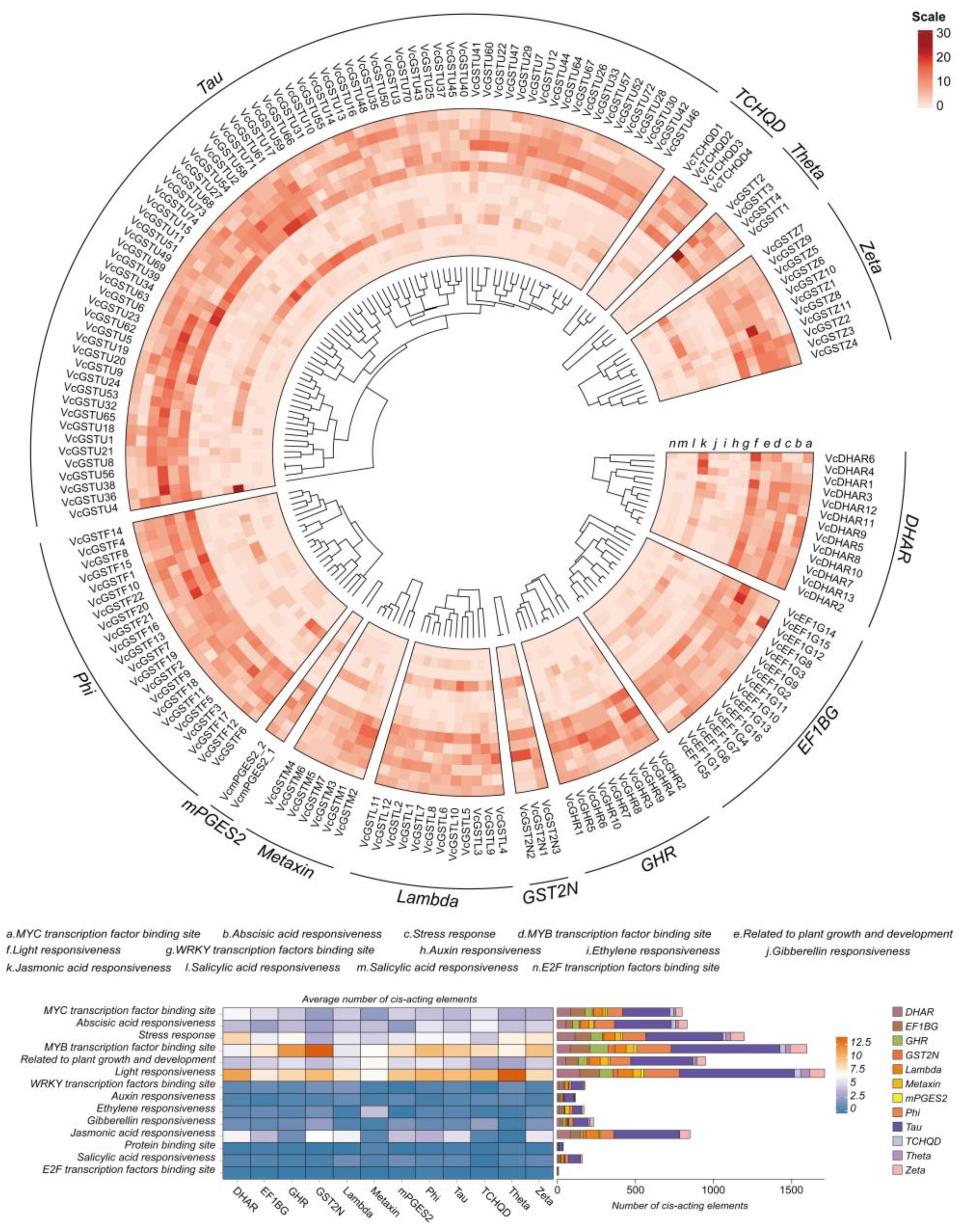 Plants 13 01316 g007 Plants 13 01316 g007