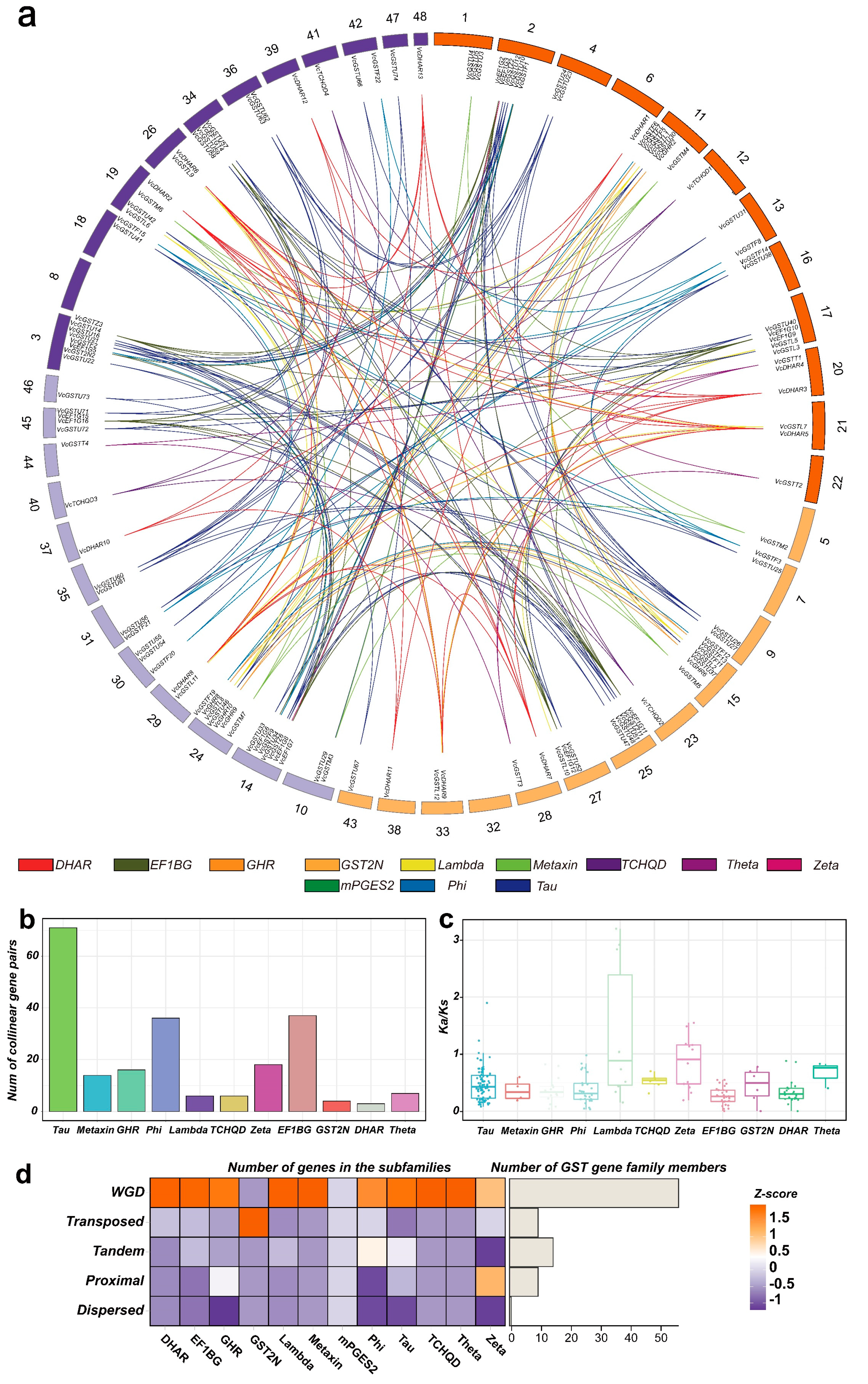 Plants 13 01316 g008 Plants 13 01316 g008