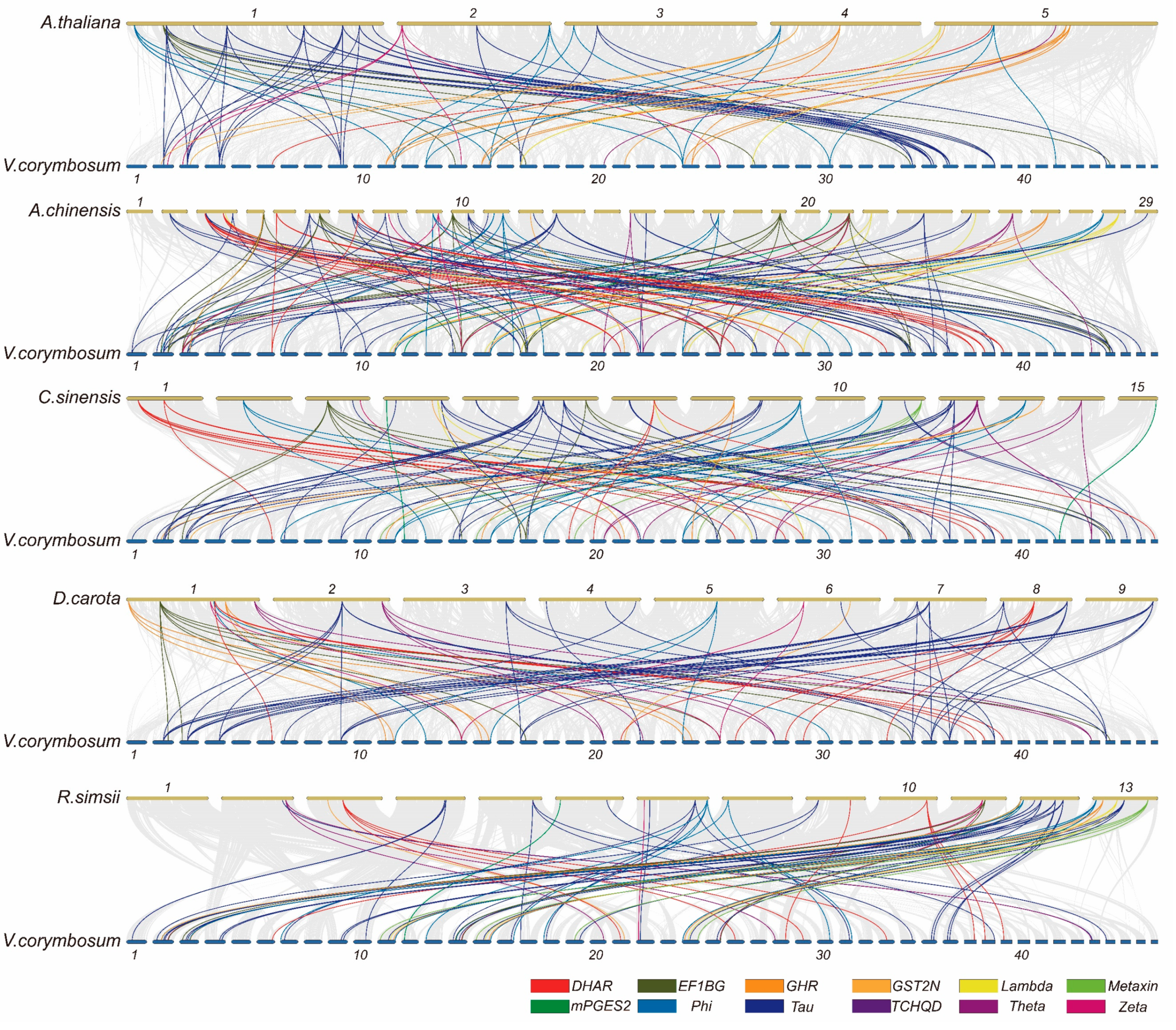 Plants 13 01316 g009 Plants 13 01316 g009