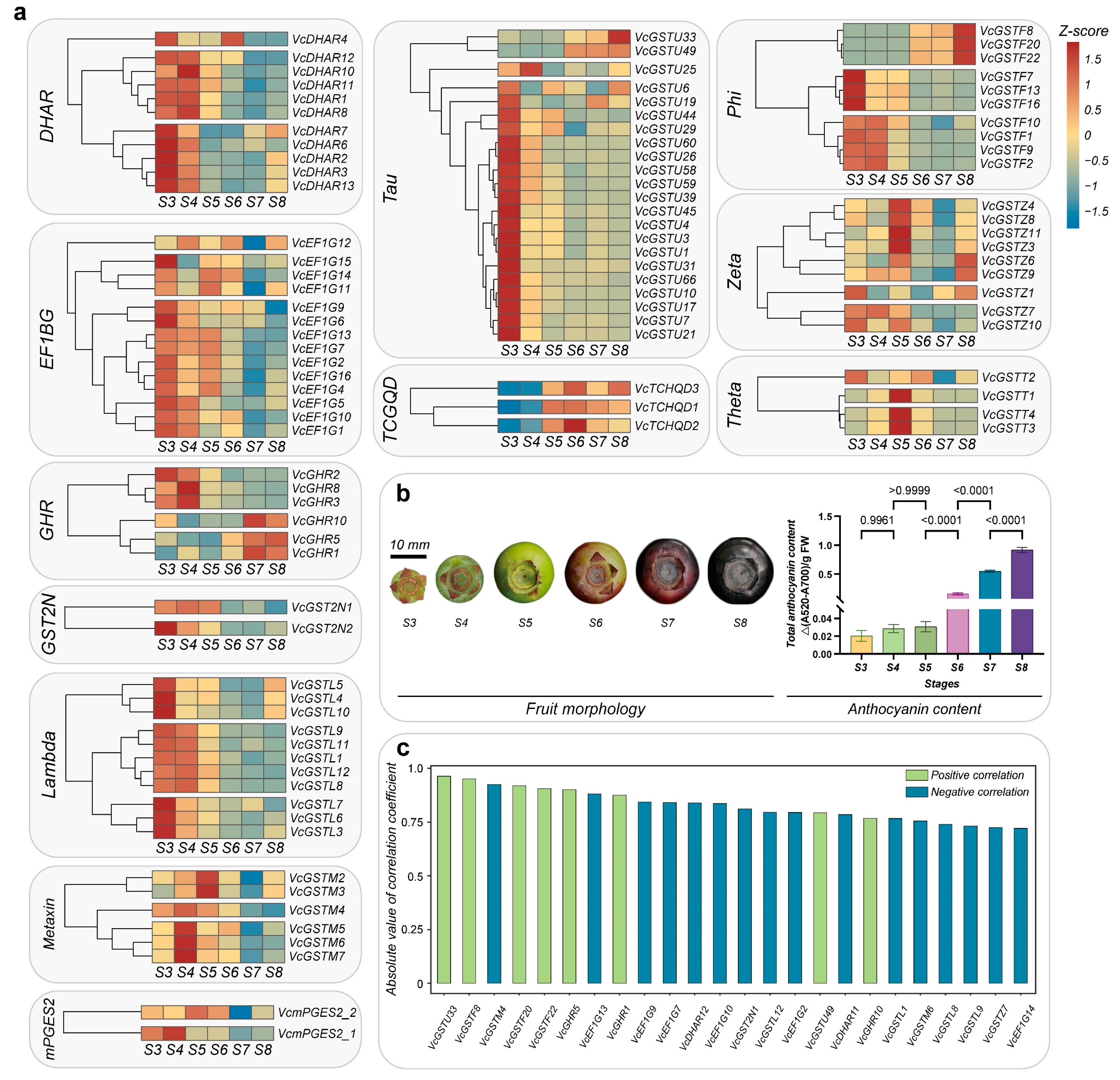 Plants 13 01316 g010 Plants 13 01316 g010