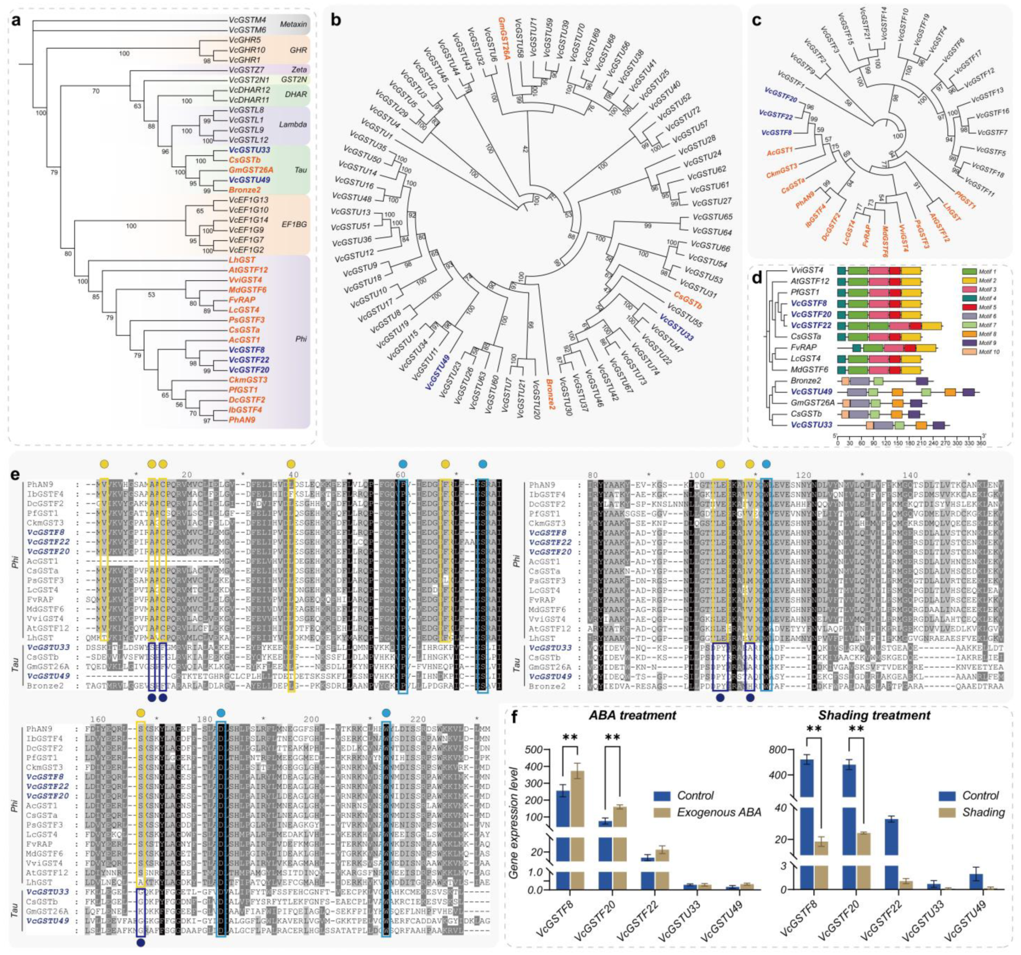 Plants 13 01316 g012 Plants 13 01316 g012