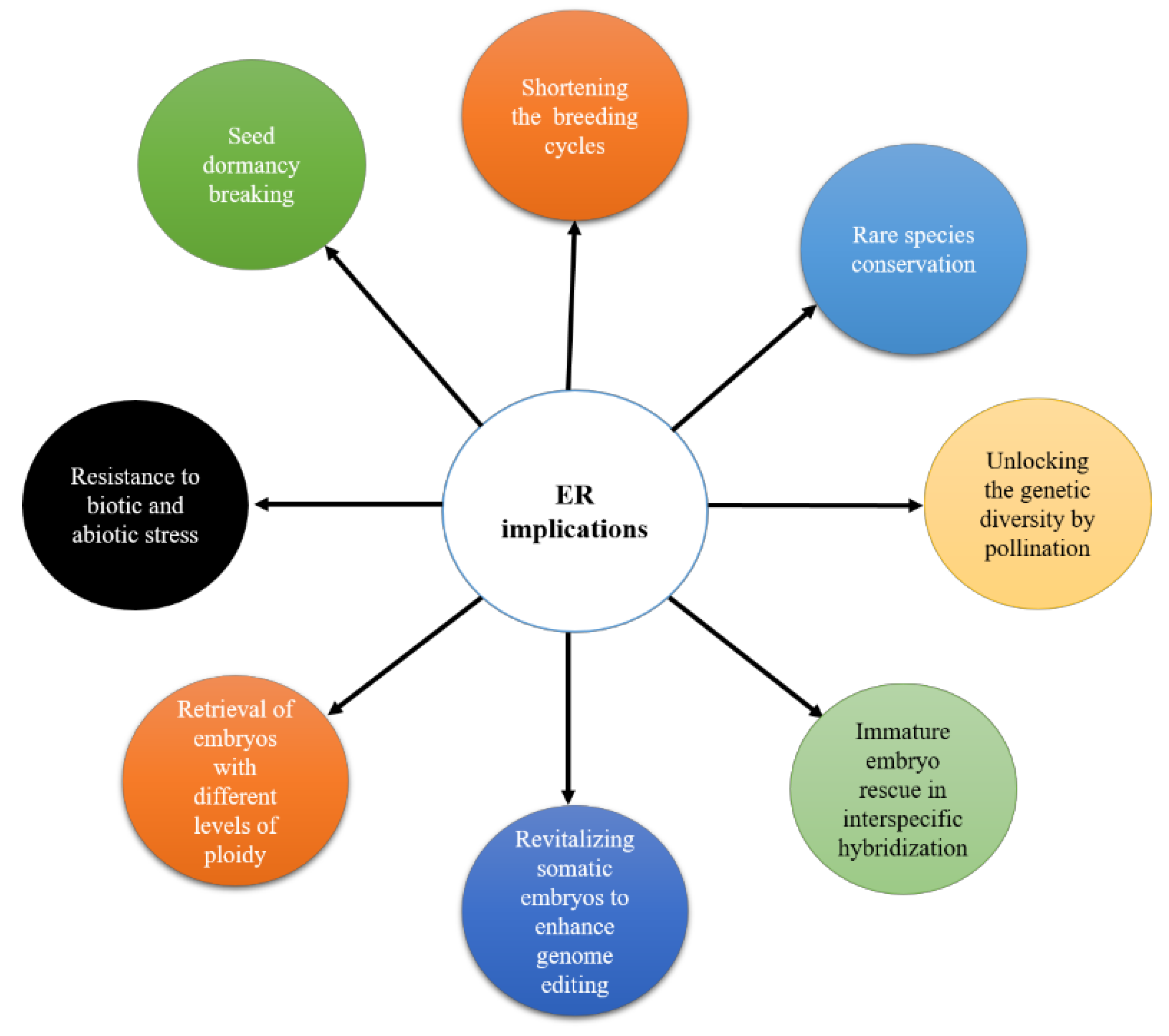 Plants 13 01320 g001