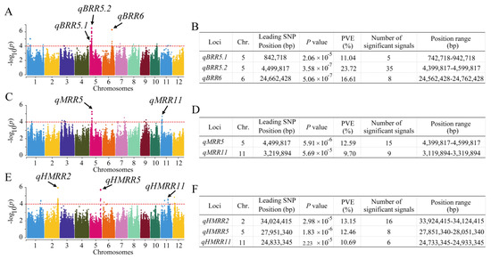 Identifying the Quantitative Trait Locus and Candidate Genes of