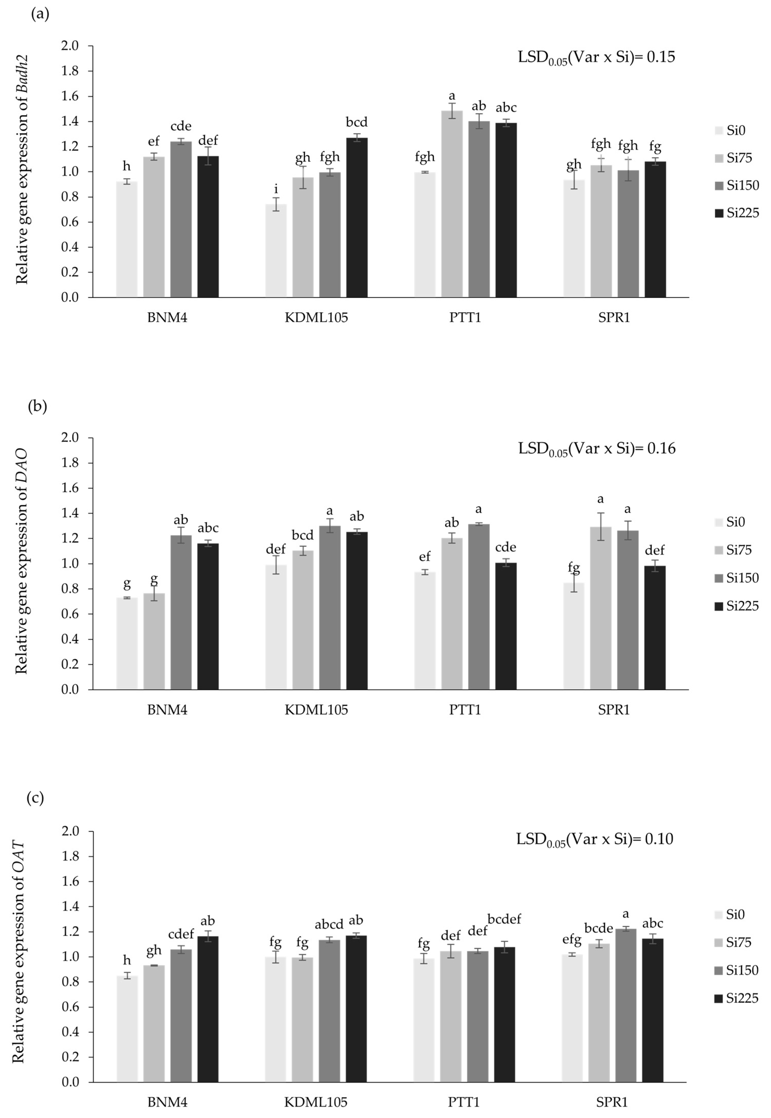 Plants 13 01336 g006a