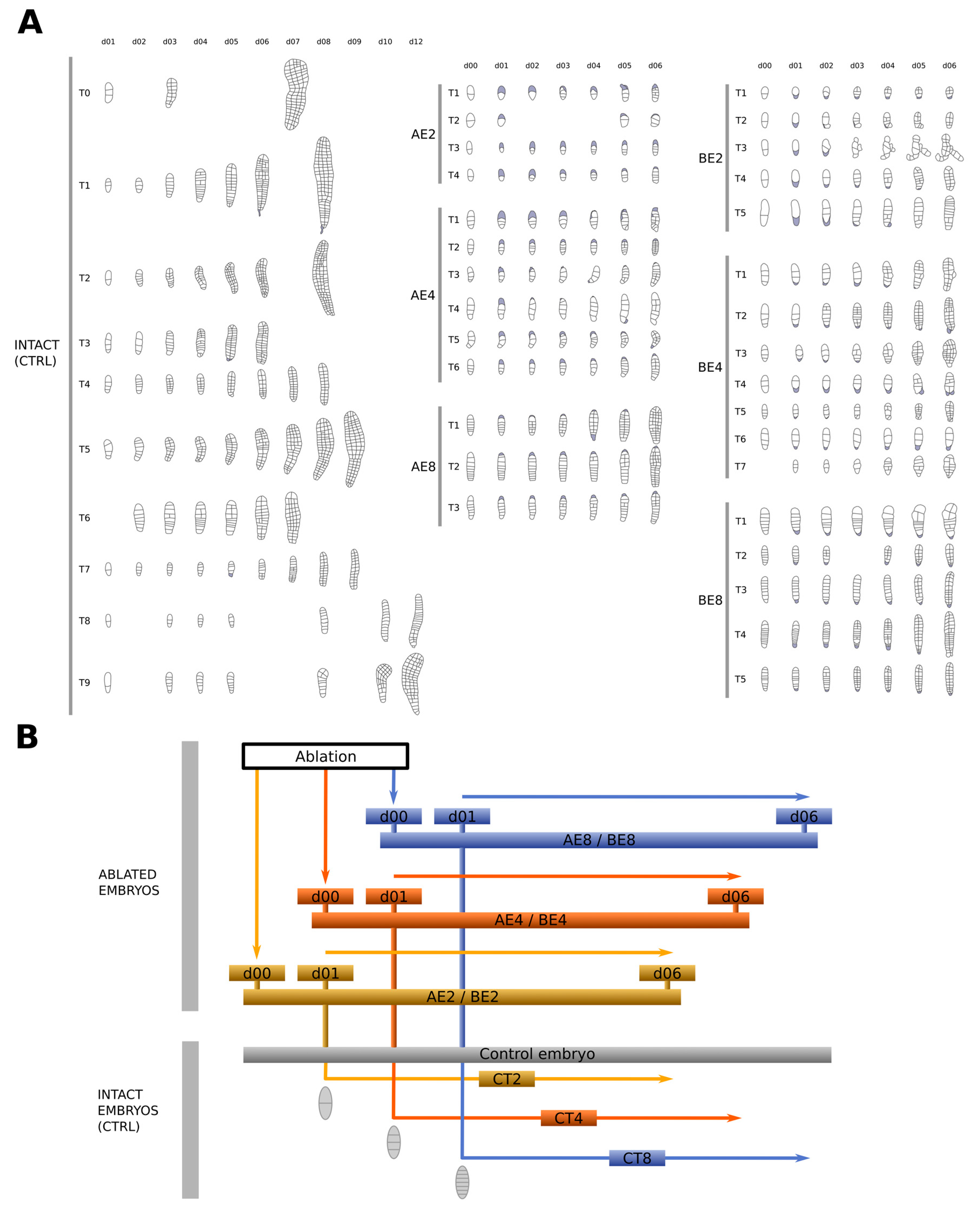 Plants 13 01341 g002 Plants 13 01341 g002