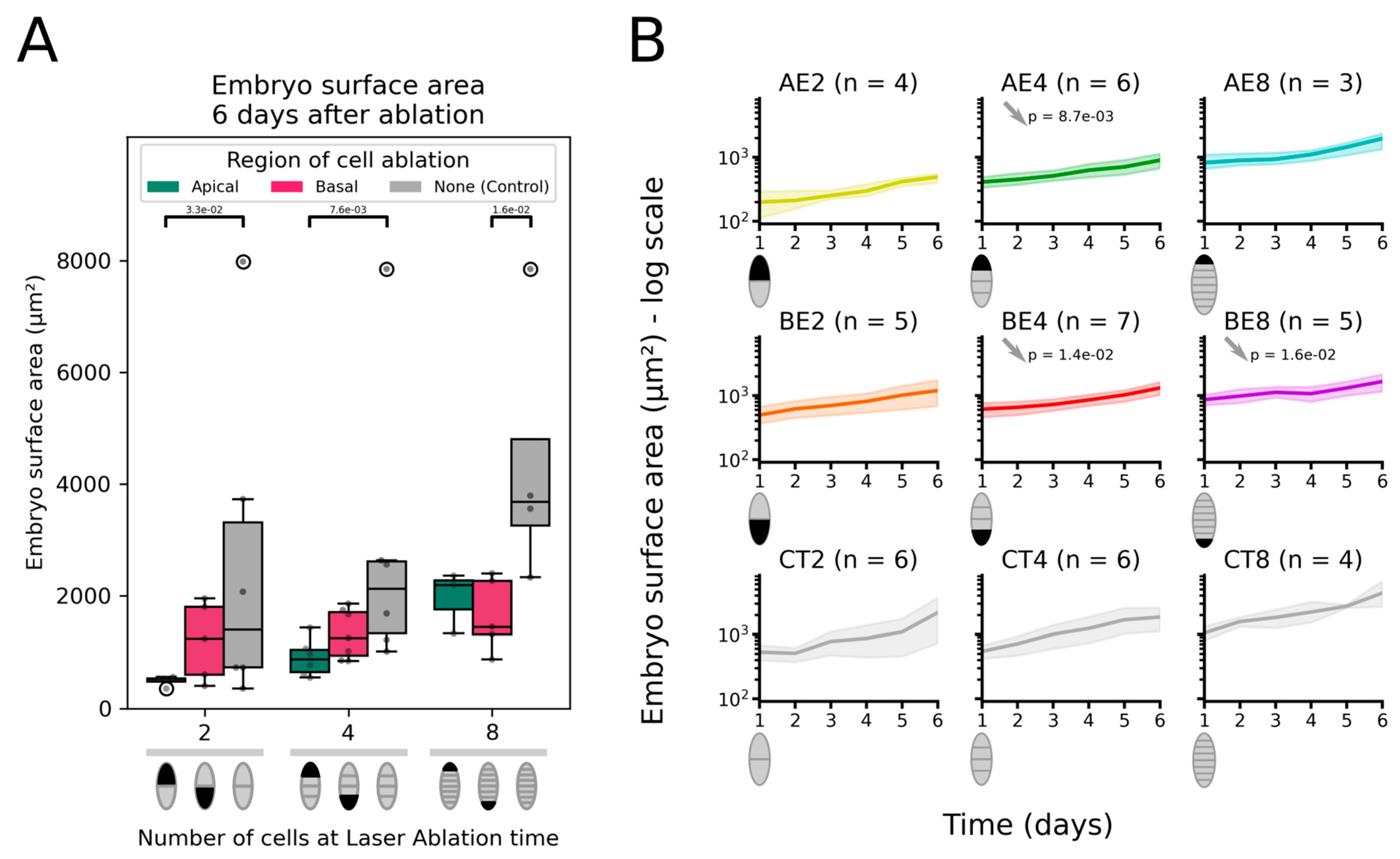 Plants 13 01341 g003 Plants 13 01341 g003